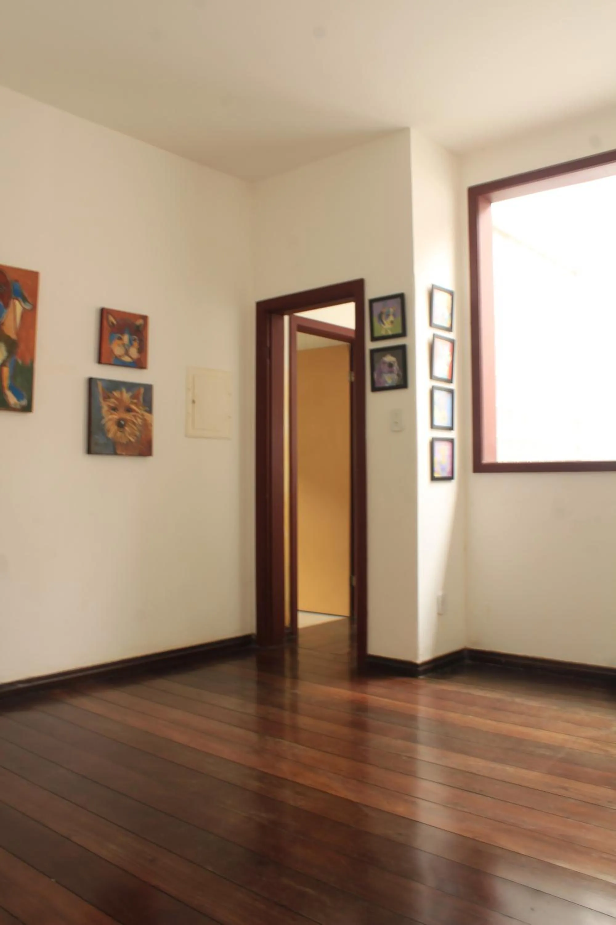 Library in Trilhas de Minas Hostel Camping