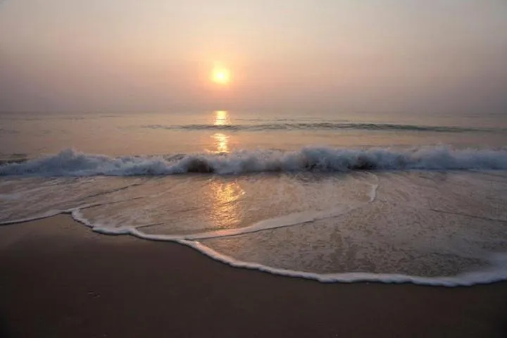 Hansar Casuarina Cha am