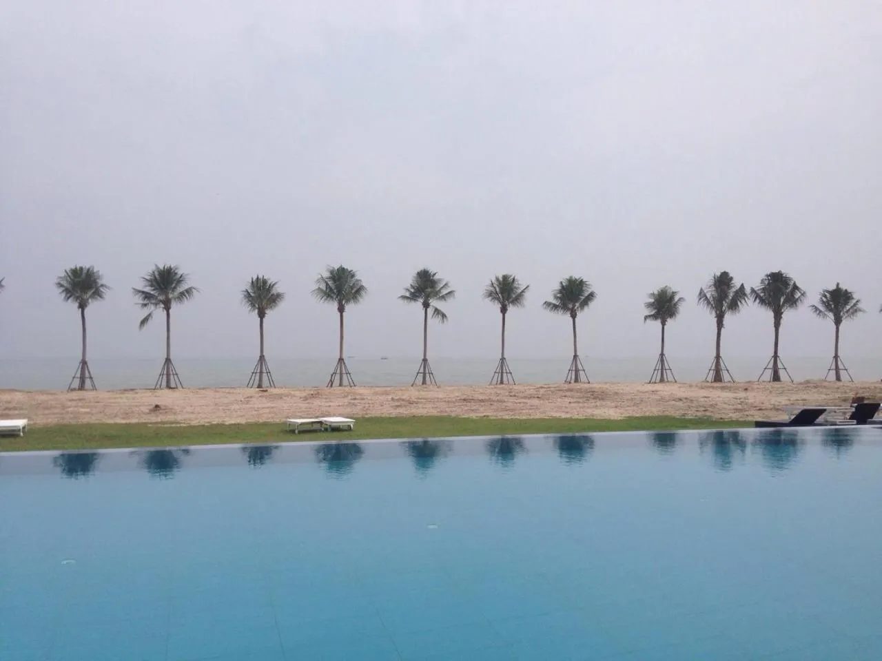 Hansar Casuarina Cha am