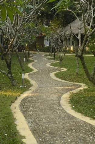 Hansar Casuarina Cha am