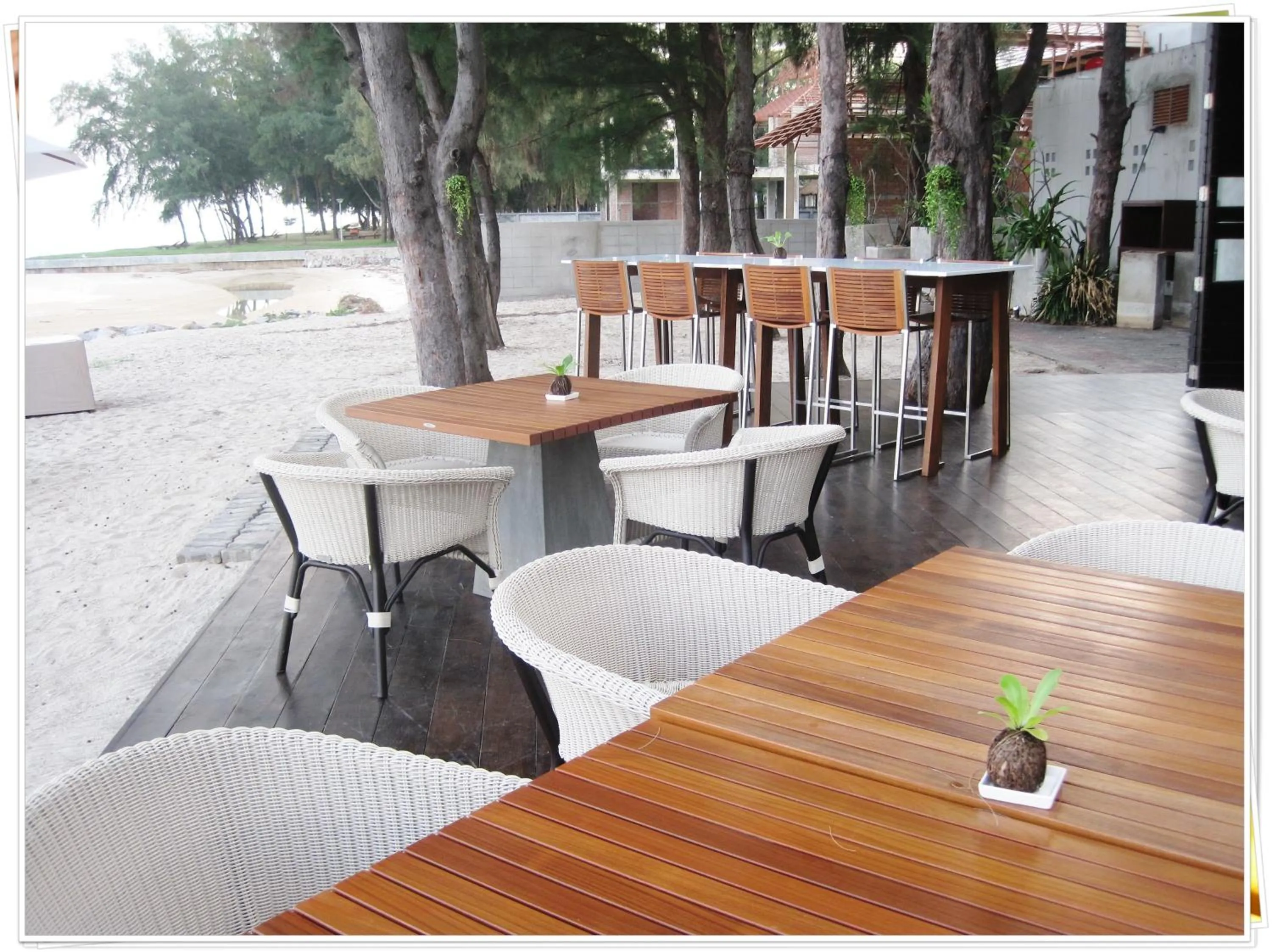 Hansar Casuarina Cha am