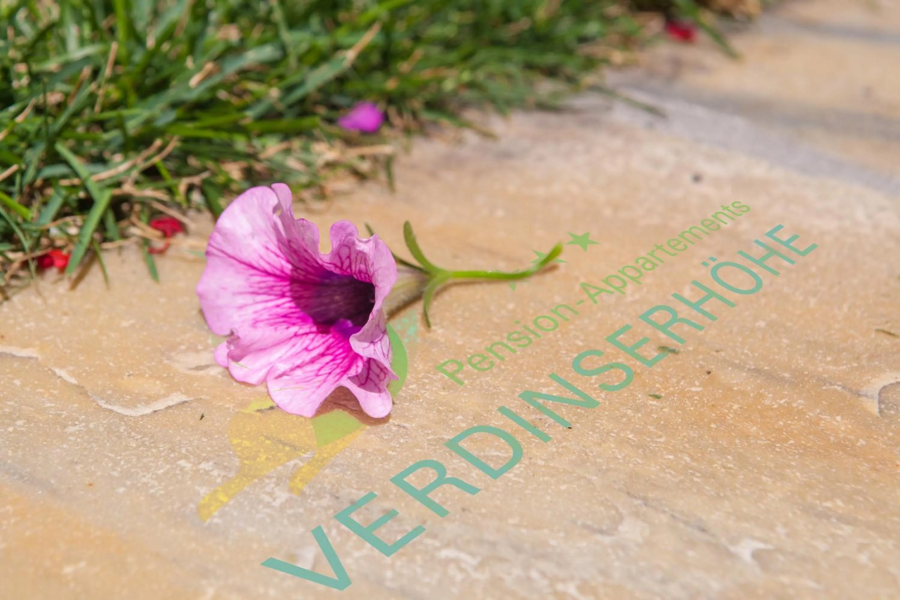 Property logo or sign in Appartements Verdinserhöhe
