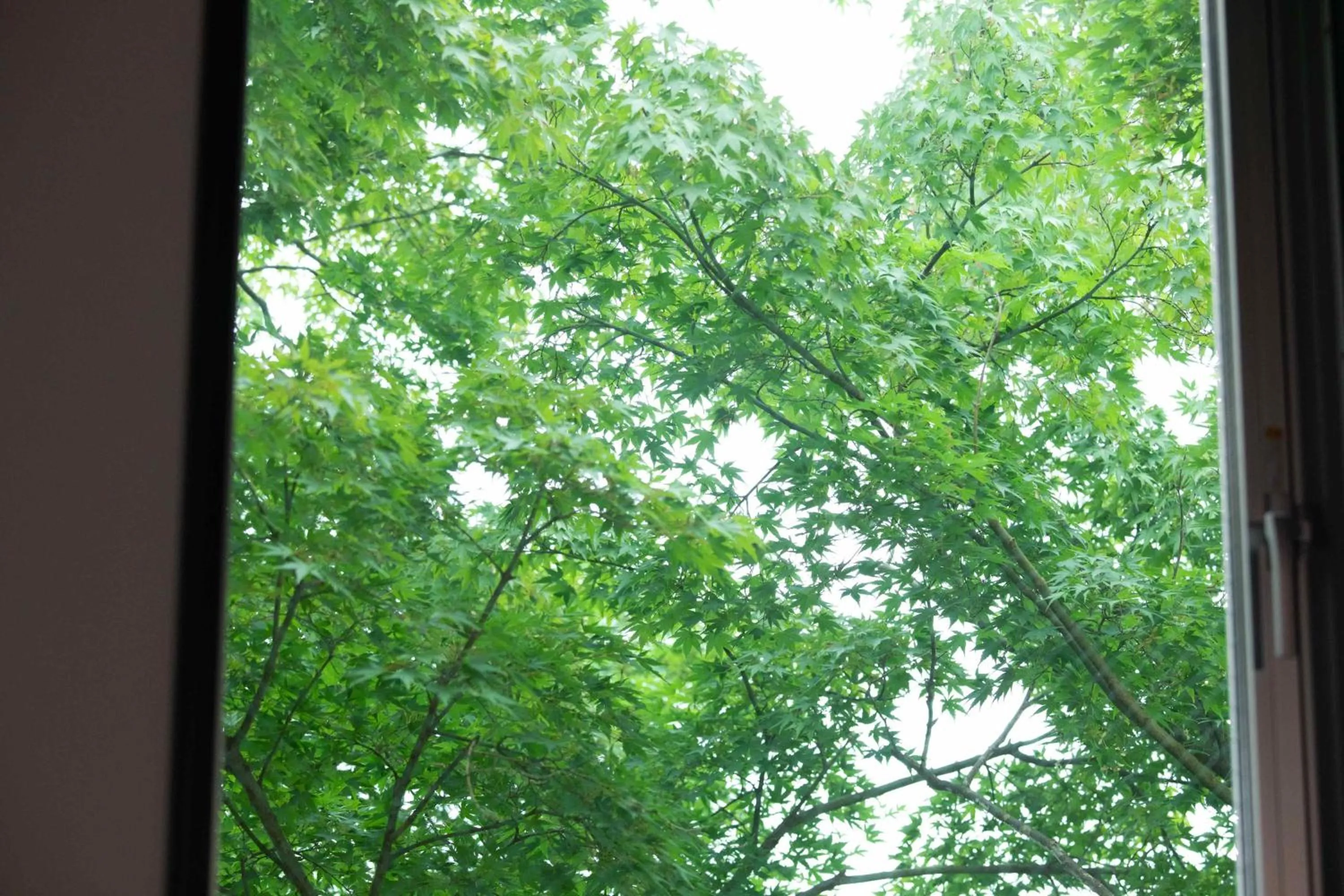 HOTEL KARUIZAWA CROSS