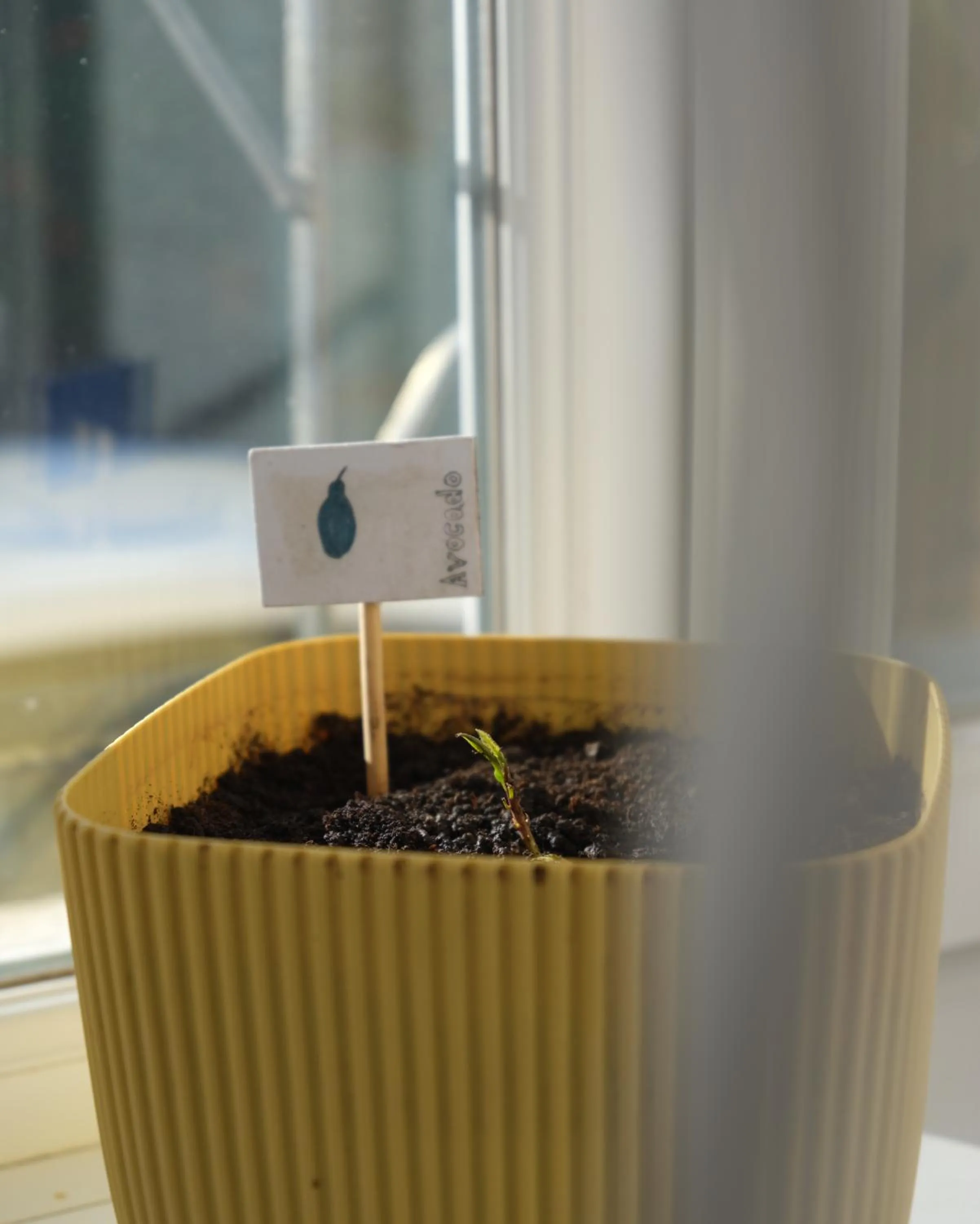 Decorative detail in Hotel 1870