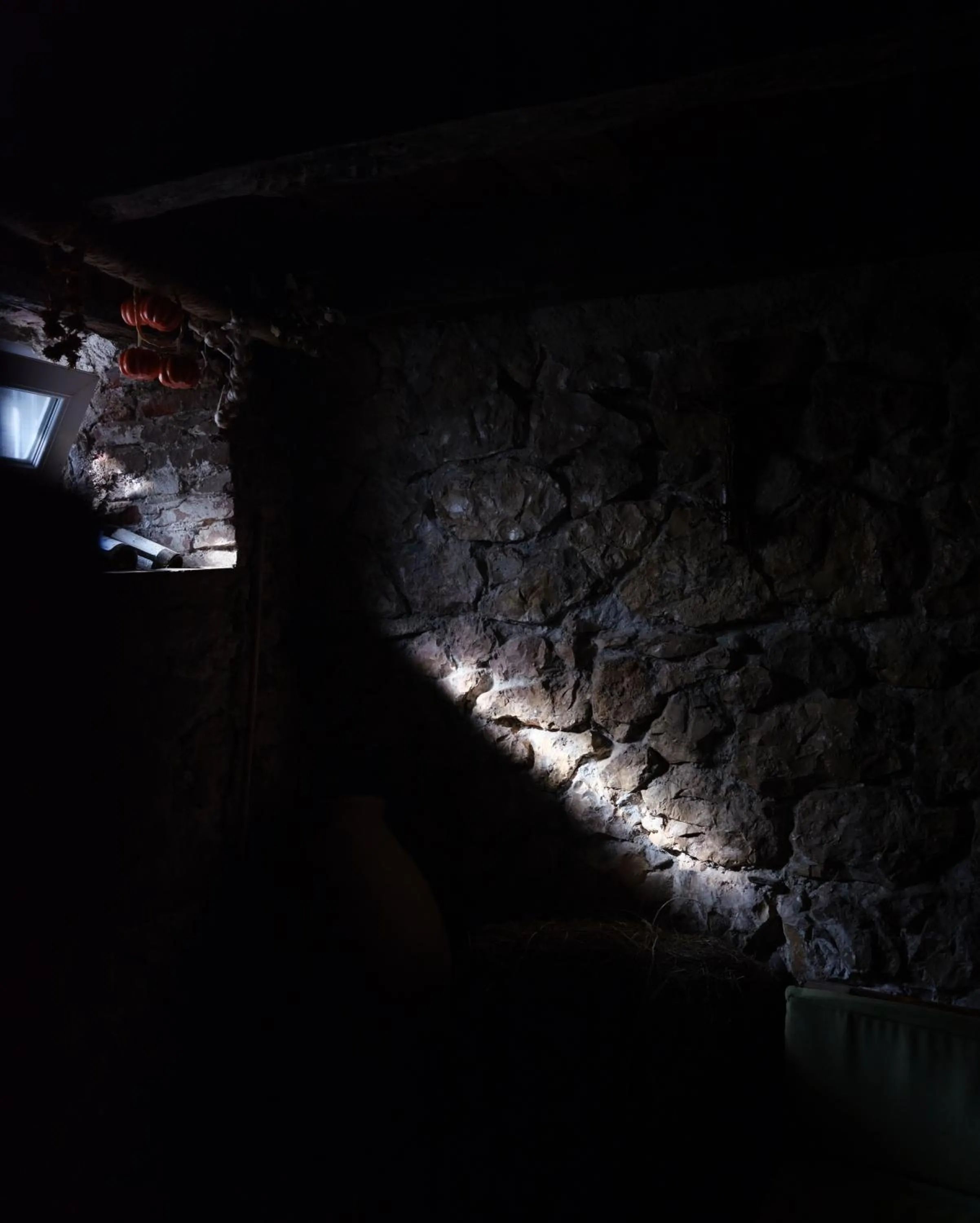 Alcoholic drinks in Hotel 1870