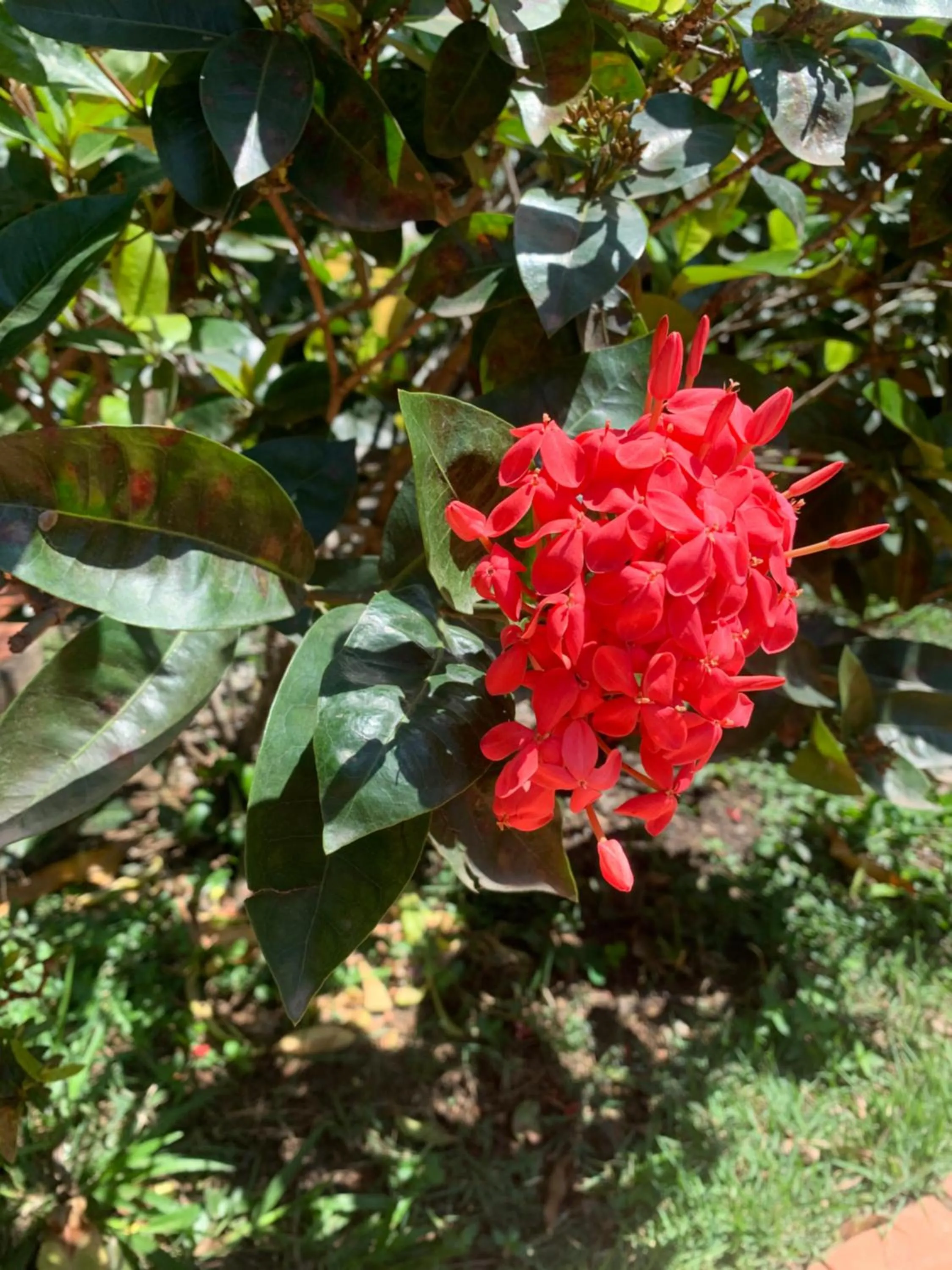 Pousada Bella Geriba Buzios