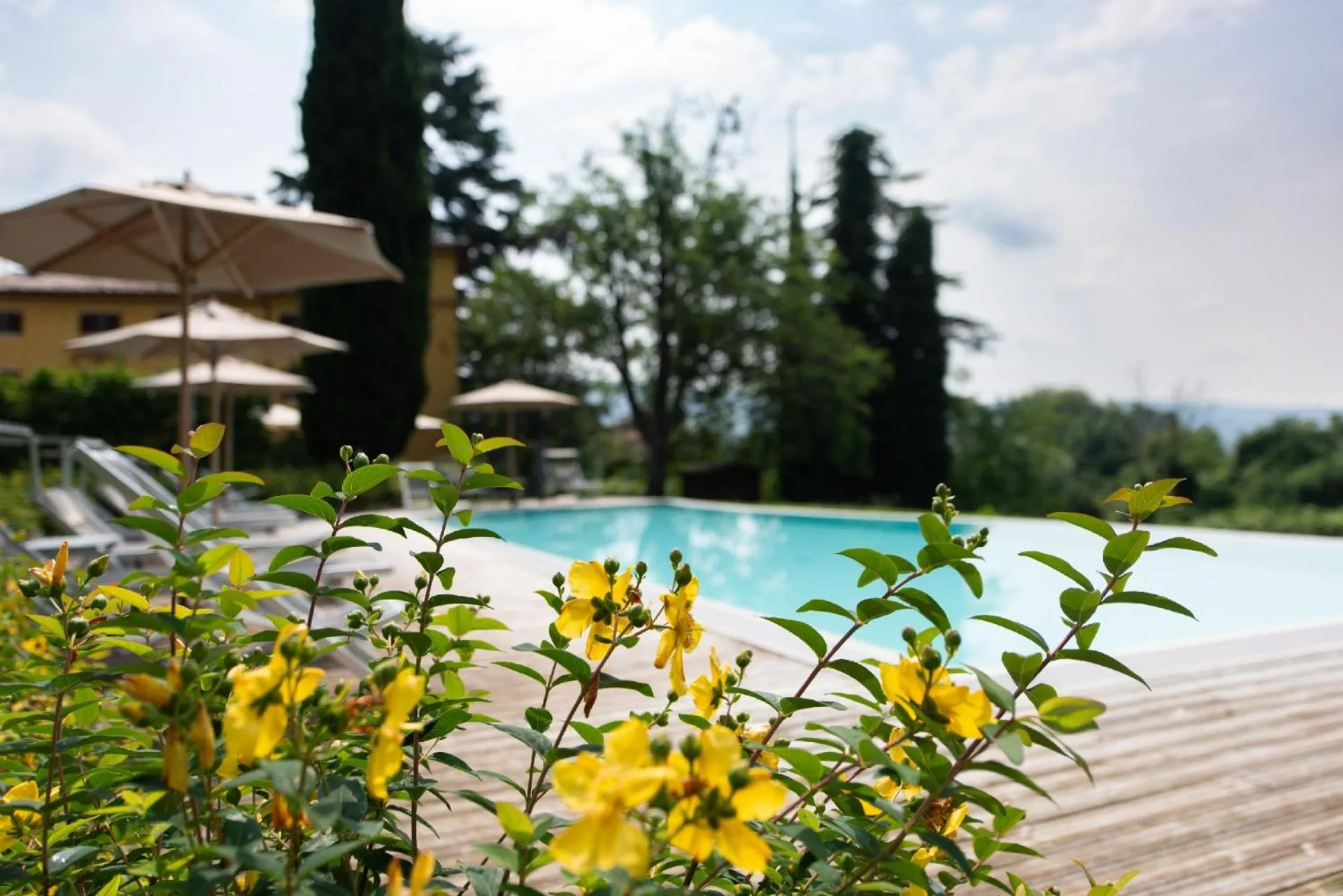 Pool view in B&B Corte Jago