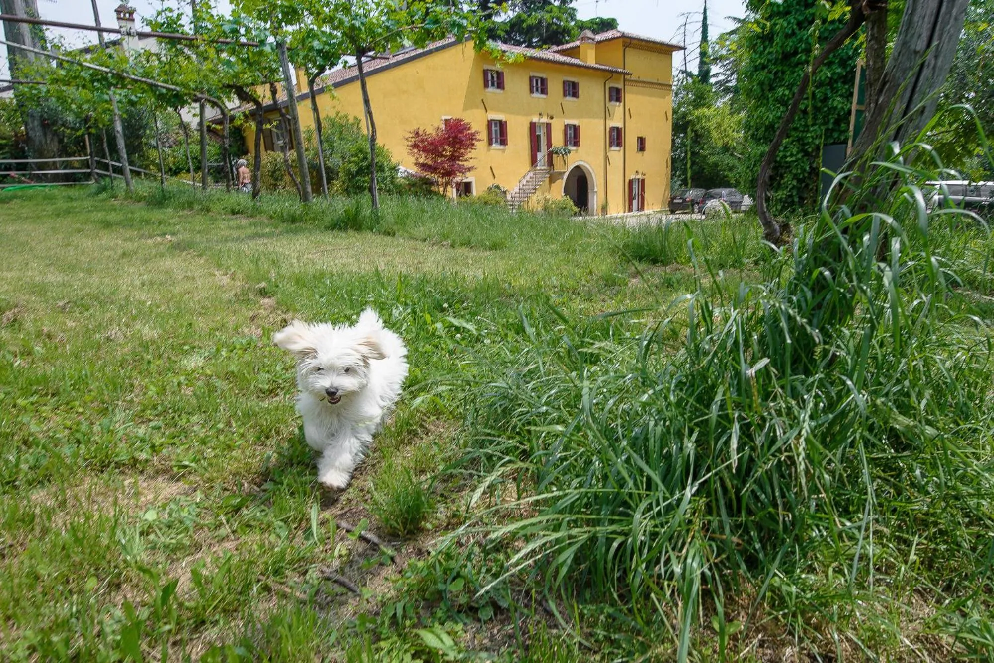 Facade/entrance in B&B Corte Jago