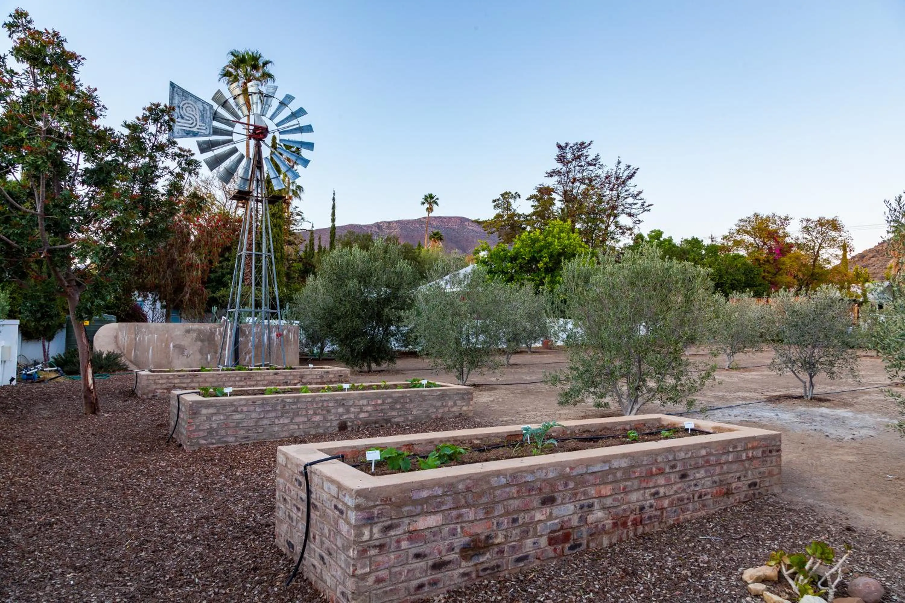 Garden in Karoo View Cottages
