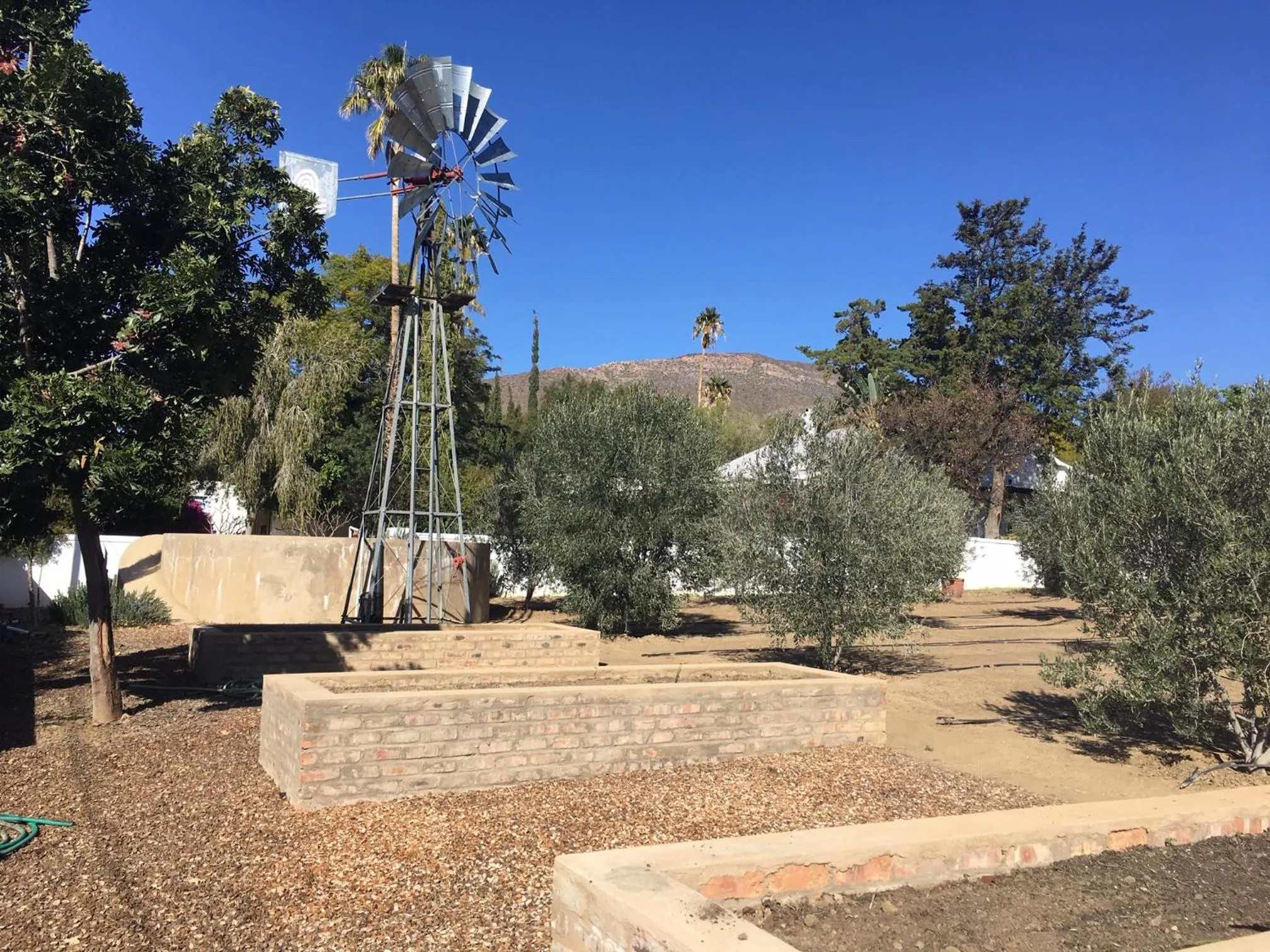 Garden in Karoo View Cottages