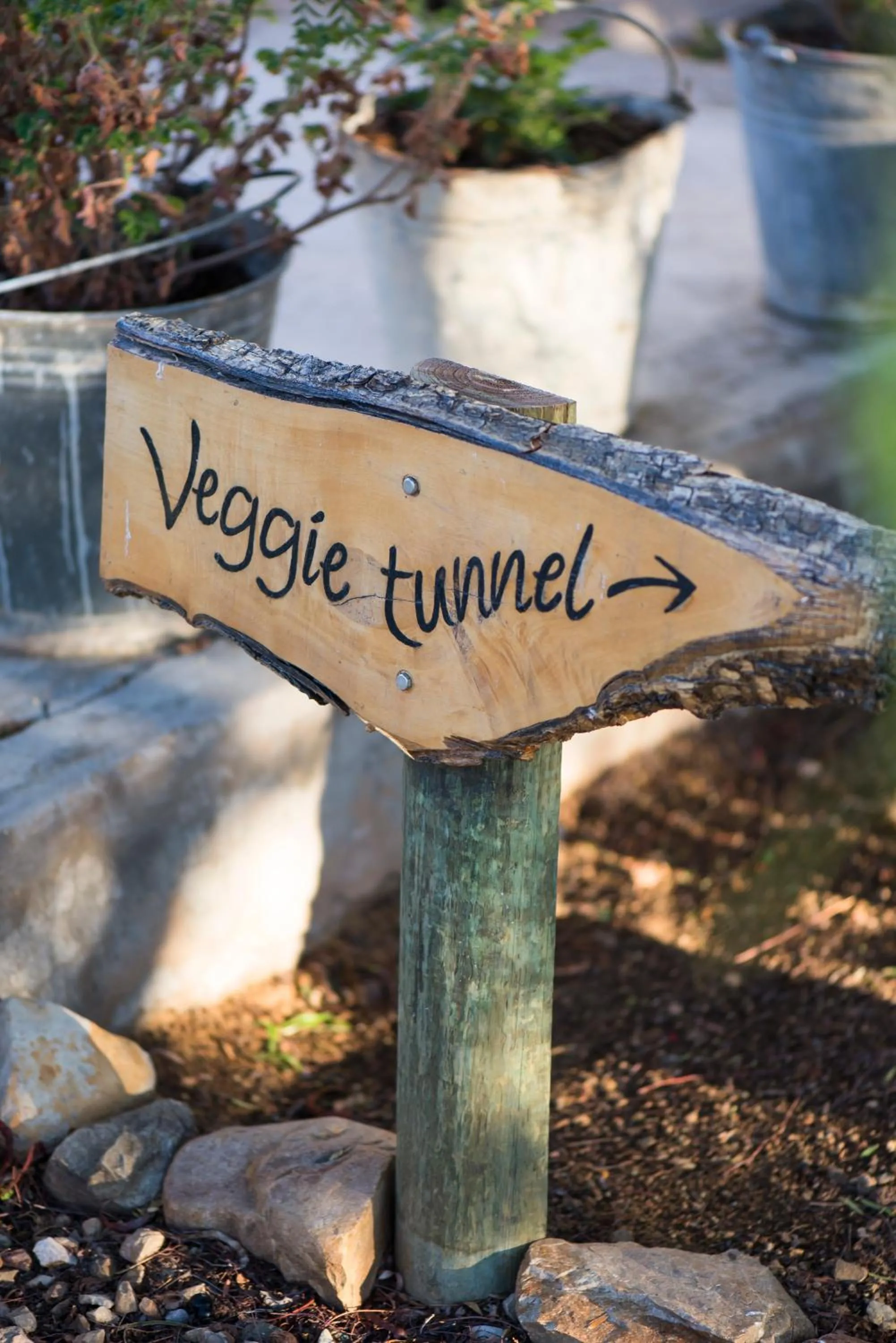Activities in Karoo View Cottages