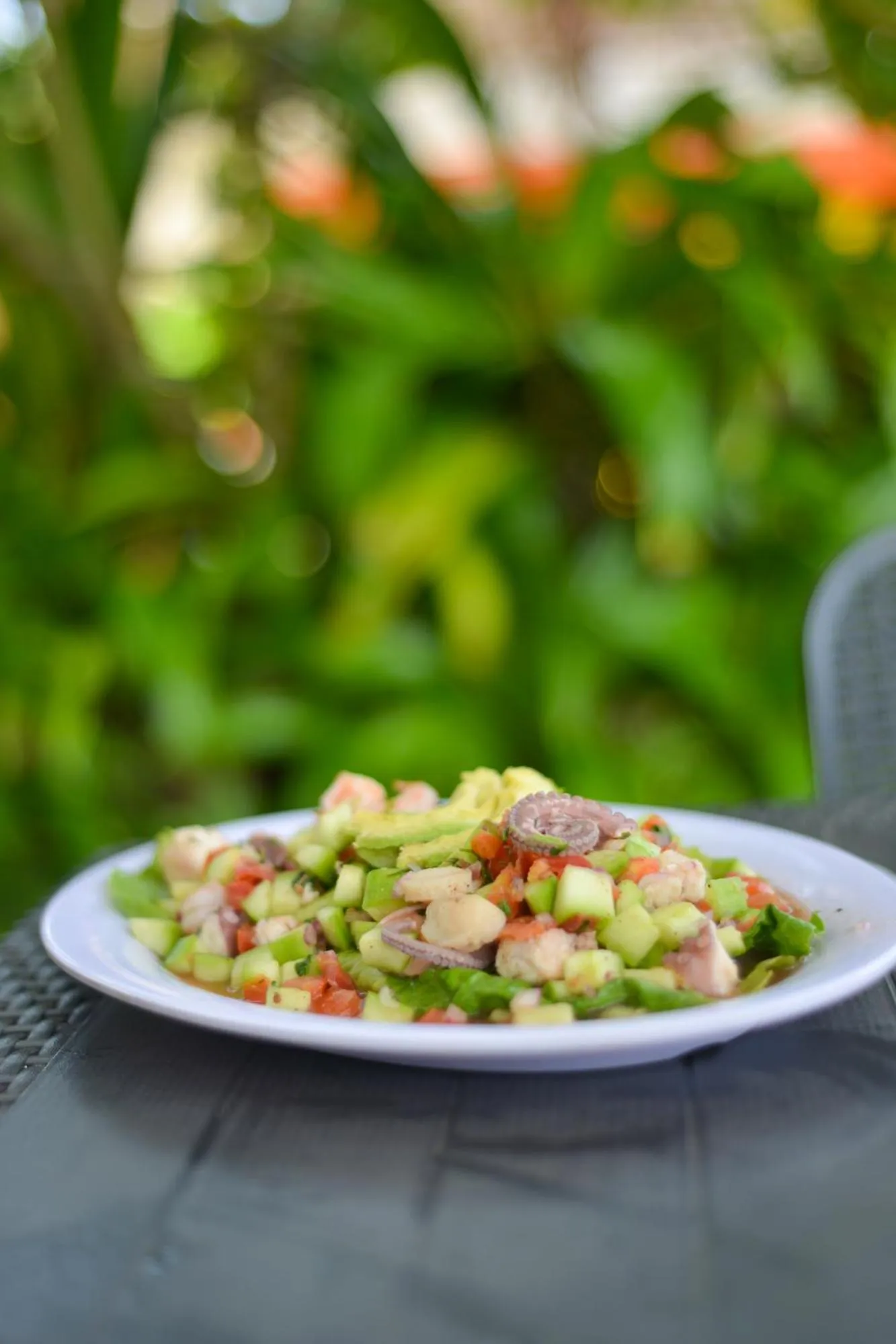 Hotel Machos Mahahual