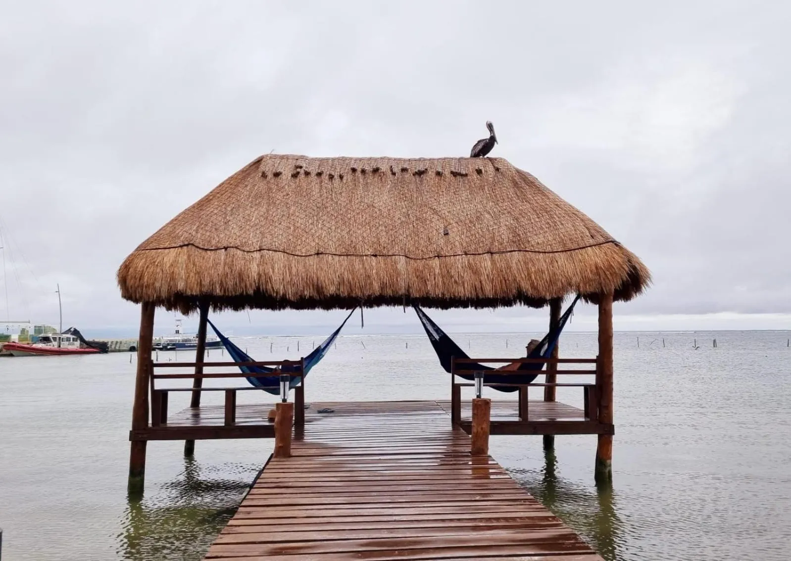 Hotel Machos Mahahual