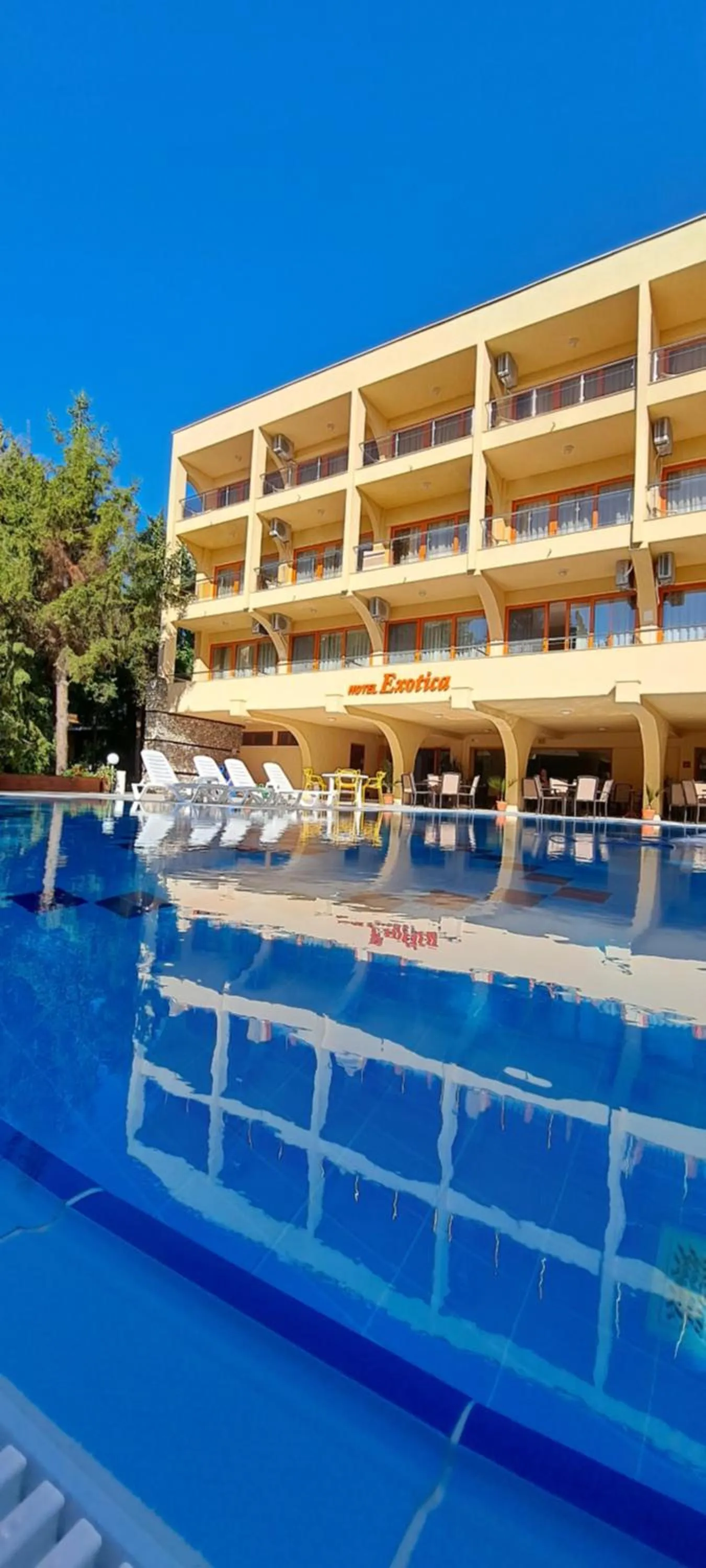 Swimming pool in Hotel Exotica
