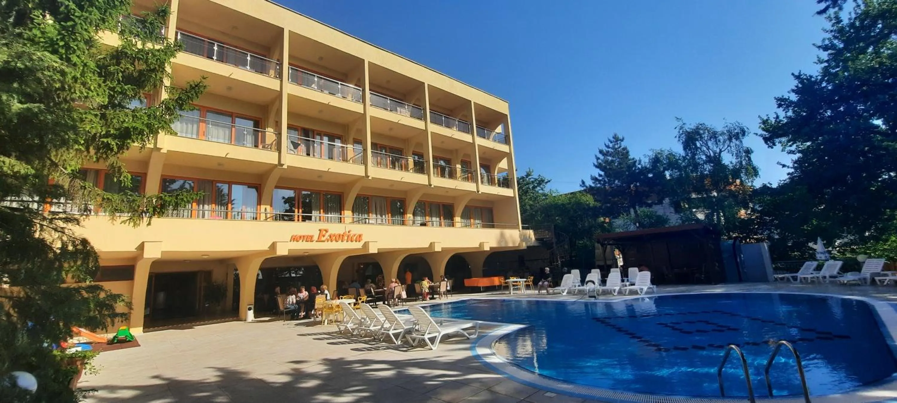 Swimming pool in Hotel Exotica