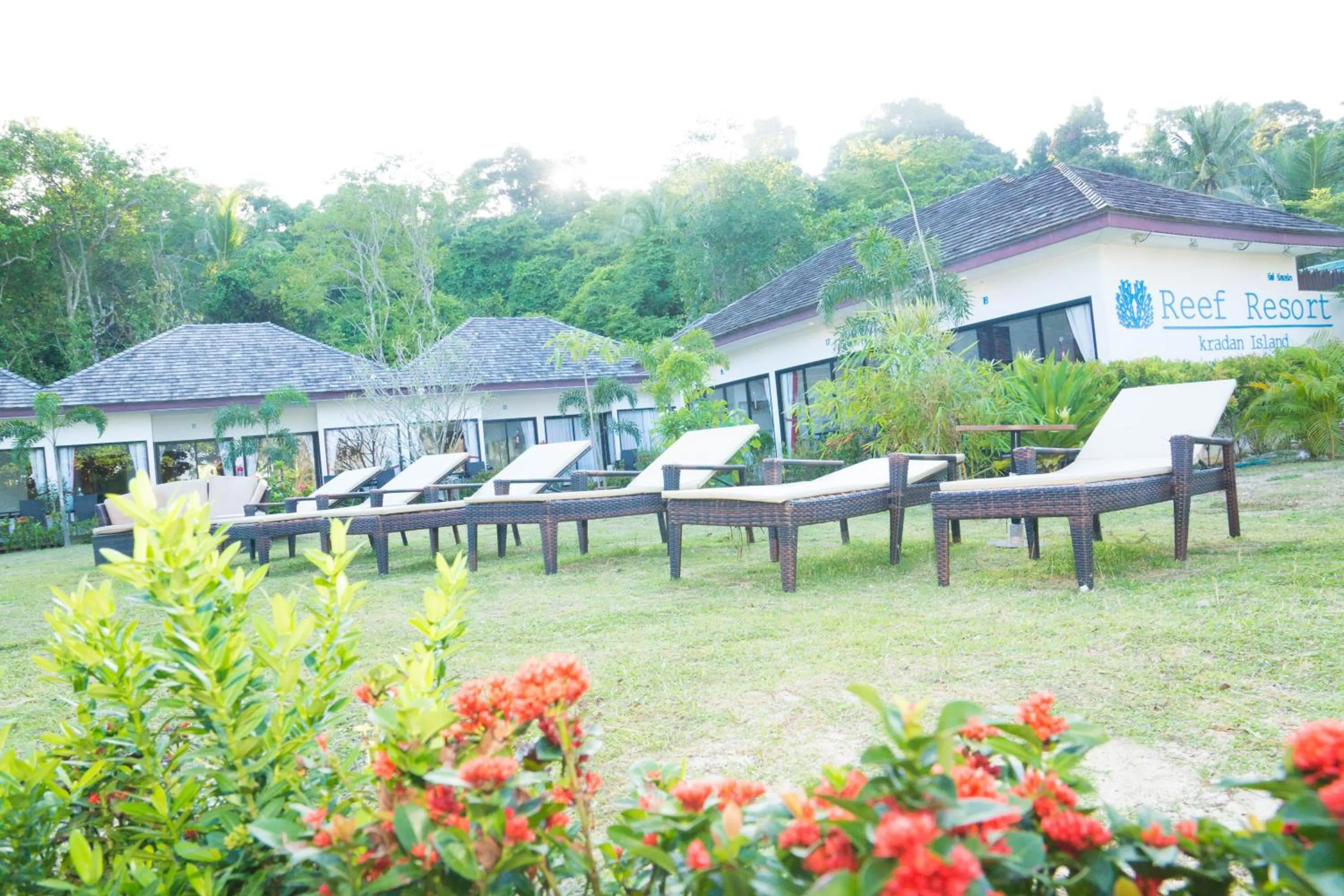 Garden in The Reef Resort