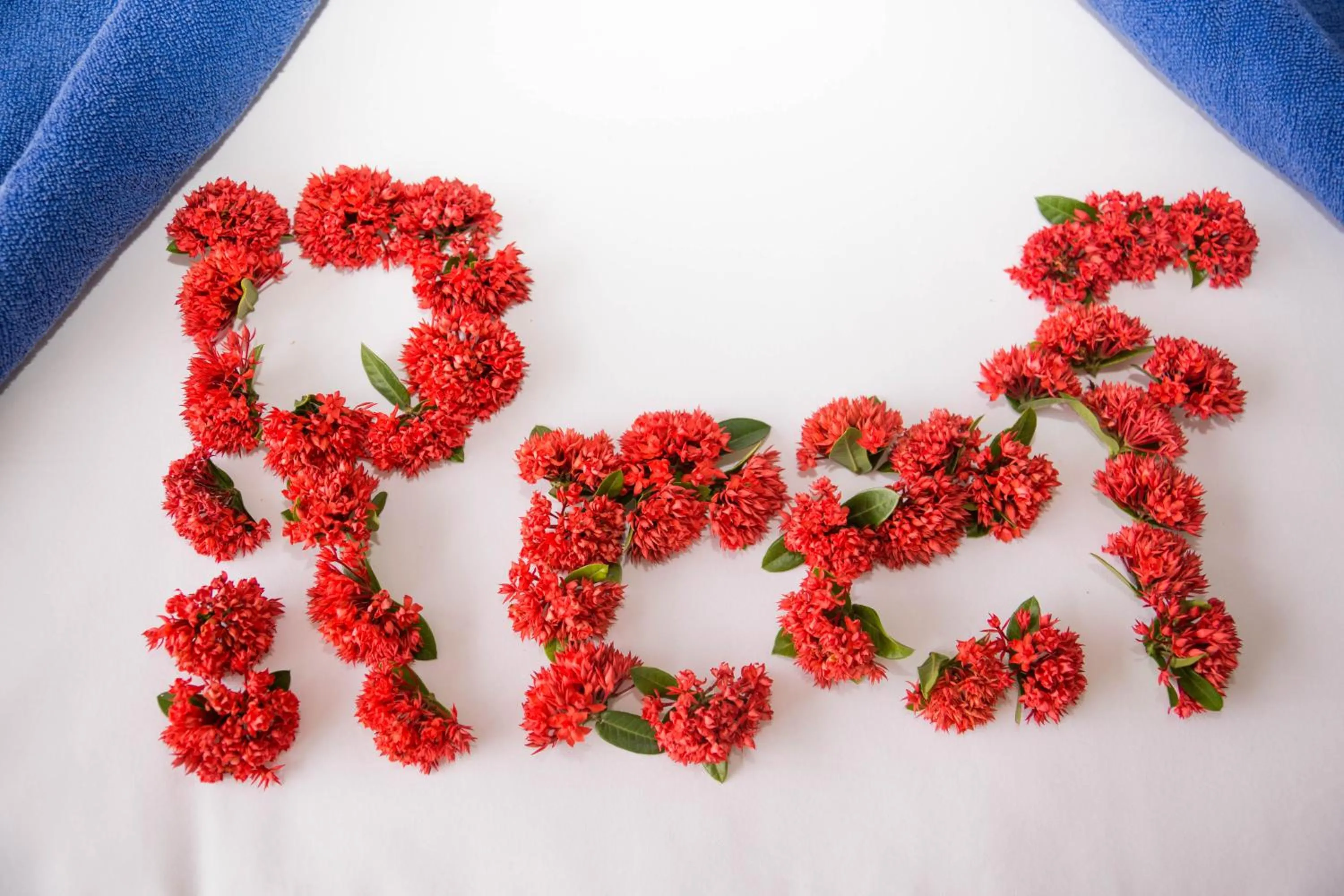 Bedroom in The Reef Resort