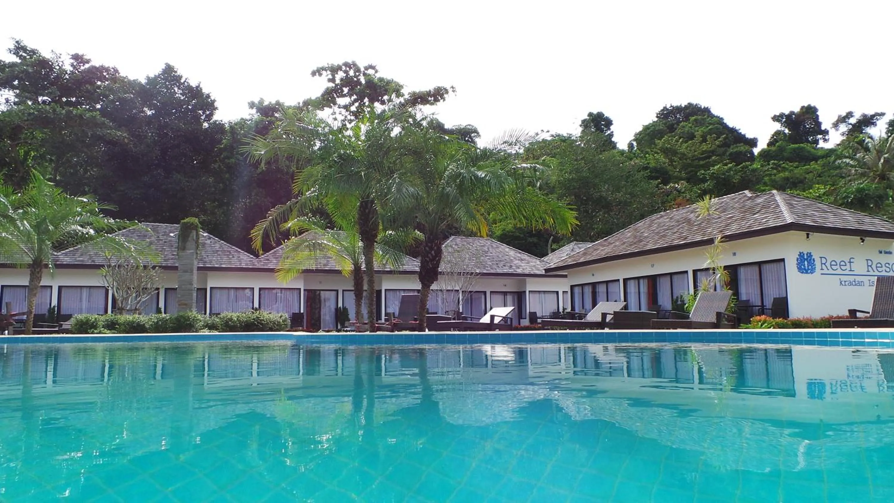 Swimming pool in The Reef Resort