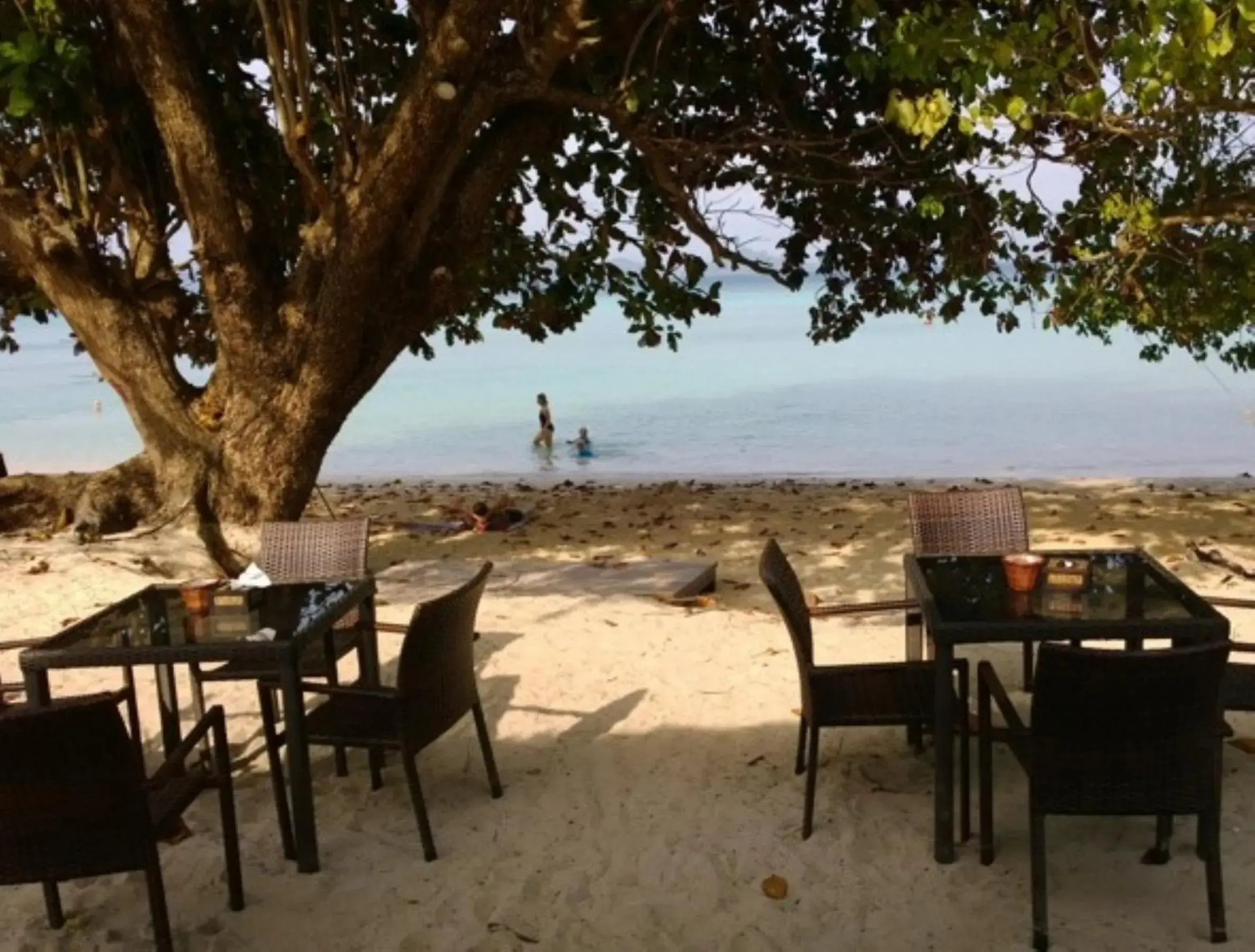 Restaurant/places to eat in The Reef Resort Restaurant/places to eat in The Reef Resort