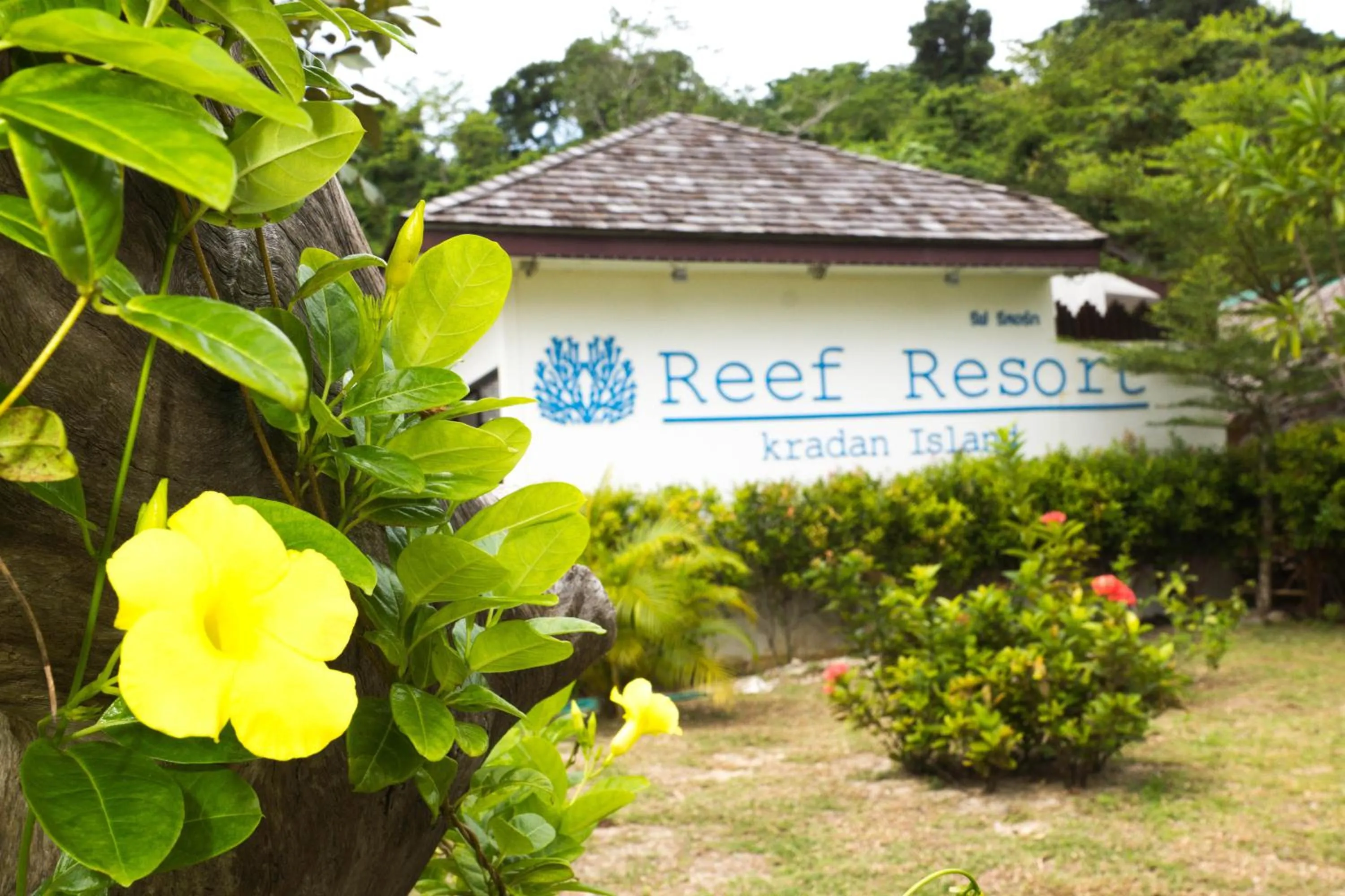 Property logo or sign in The Reef Resort