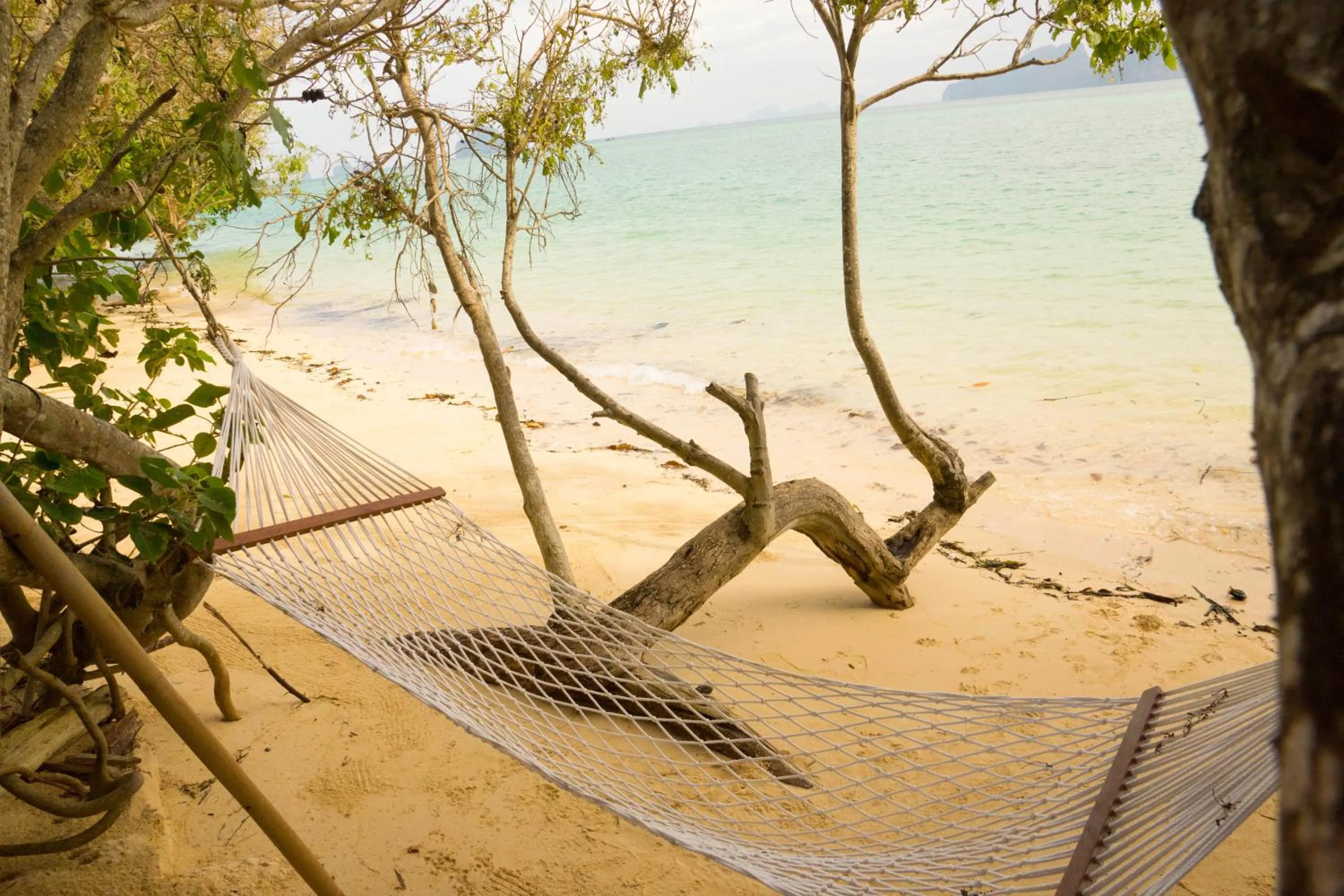 Beach in The Reef Resort