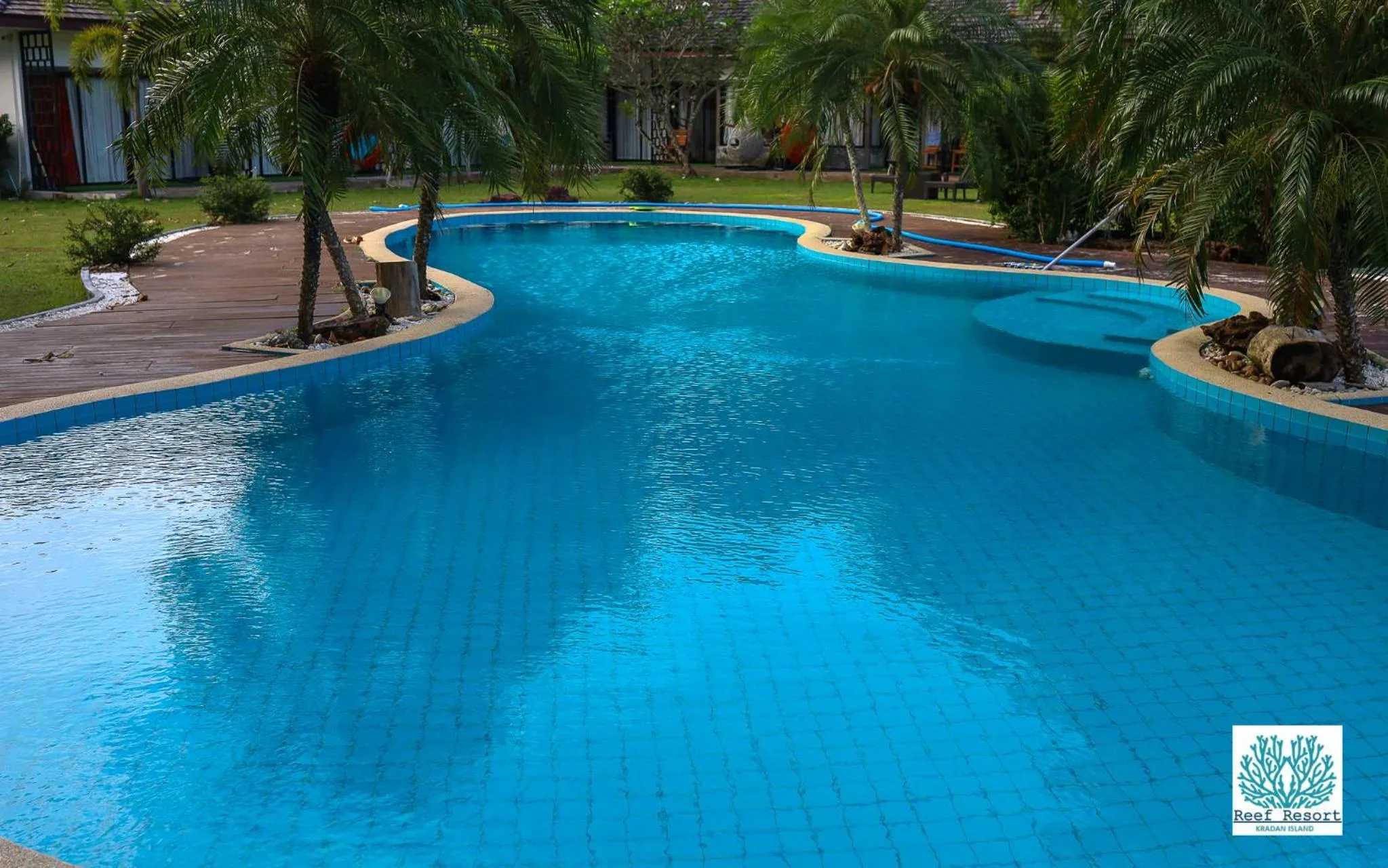 Swimming pool in The Reef Resort