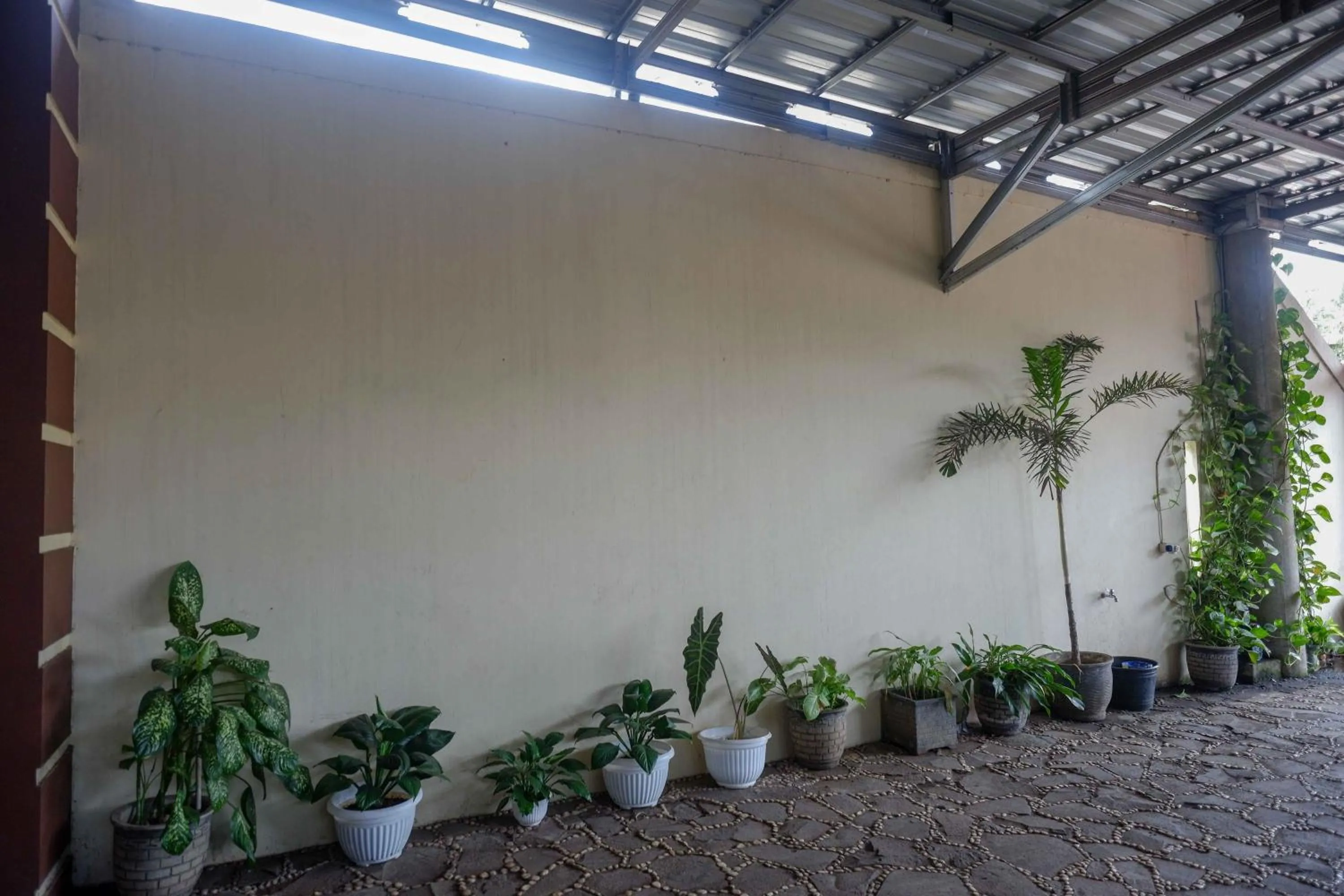 Garden in RedDoorz Syariah near PLTU Cilacap