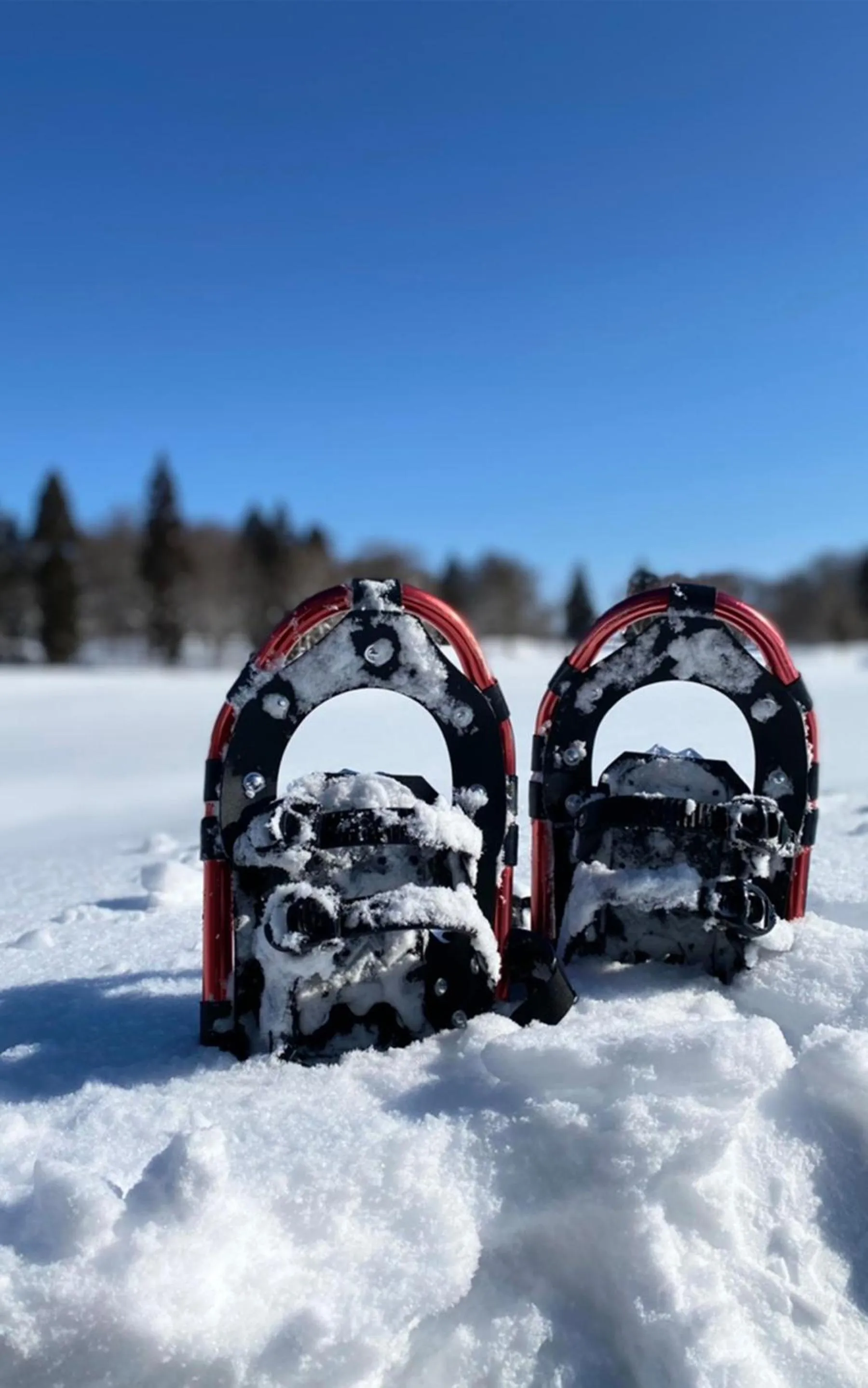 Activities in Address Nagasaka