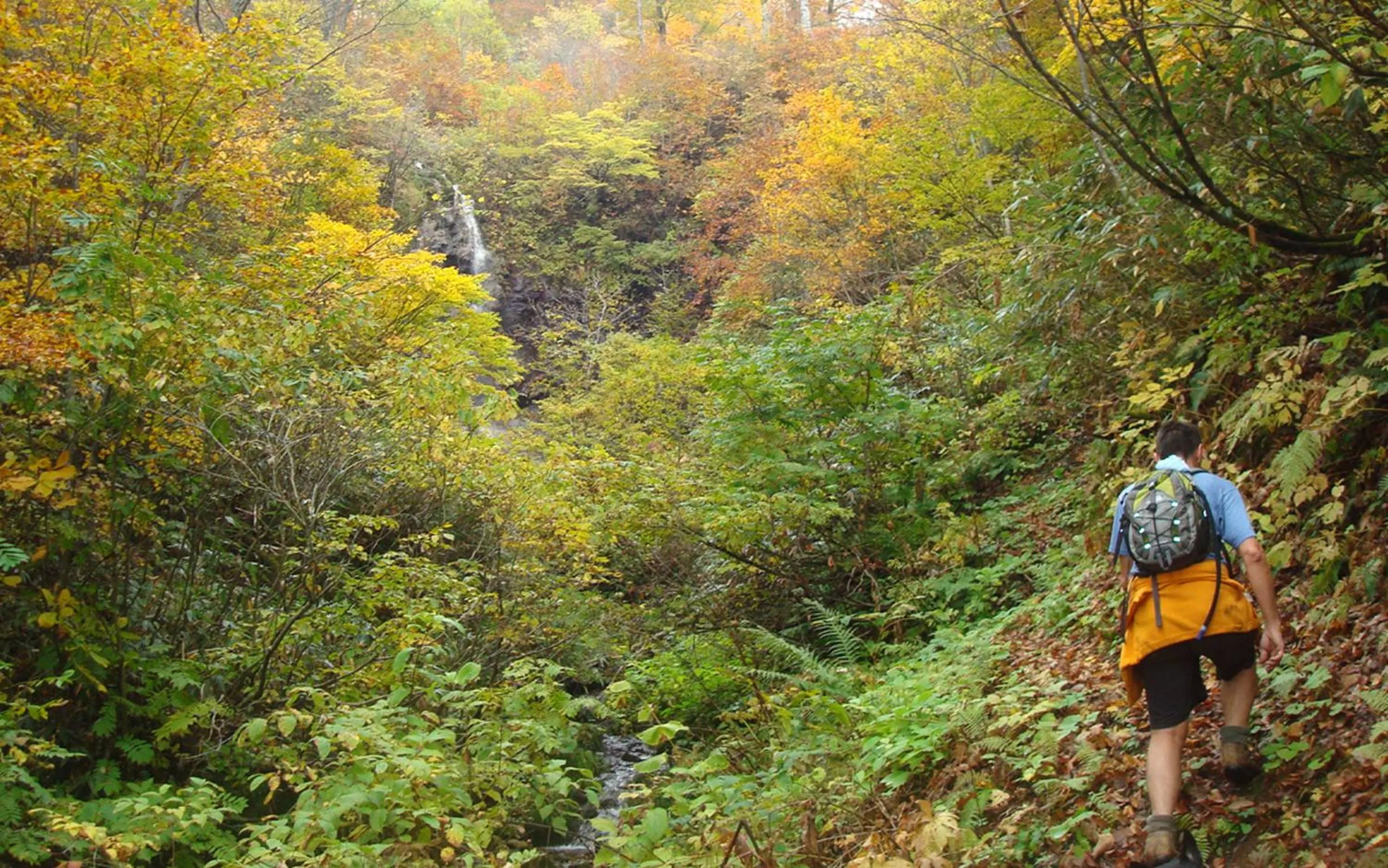 Activities in Address Nagasaka