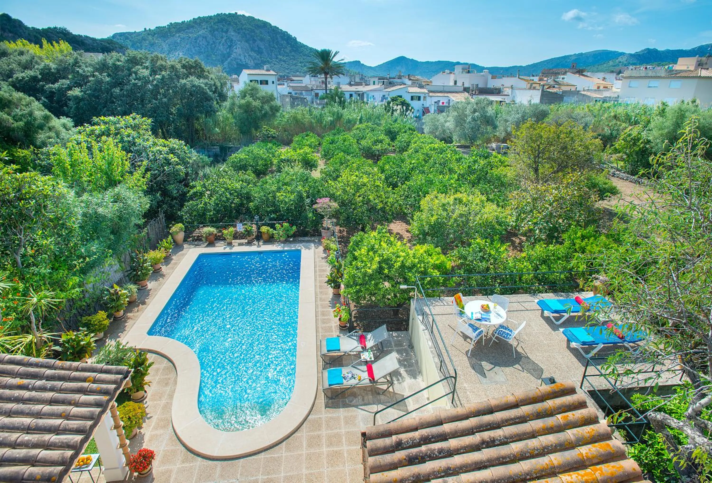 Pool view in Owl Booking Villa Mateu - 5 Min Walk to the Old Town