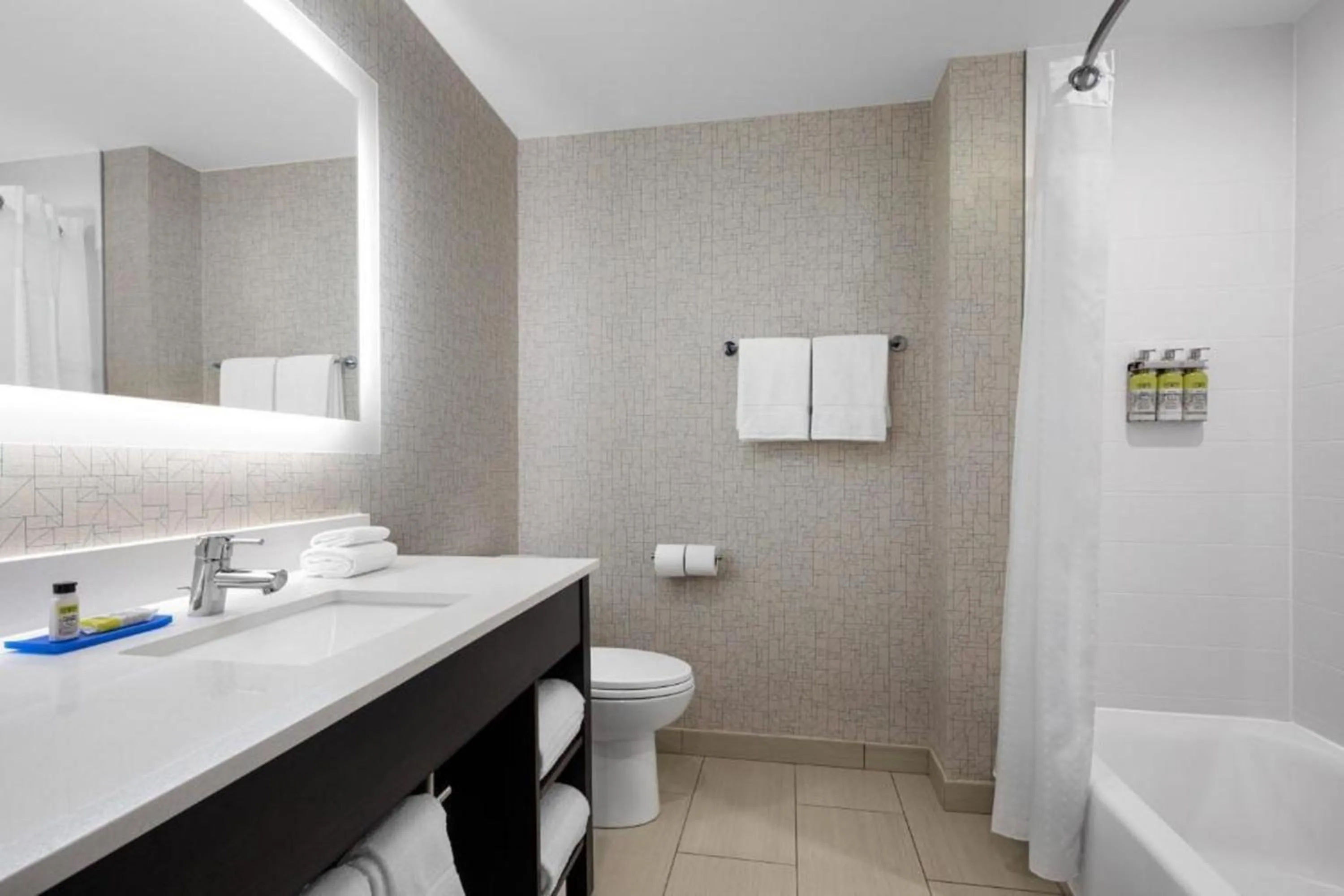 Toilet in Holiday Inn Express & Suites Woodside LaGuardia Airport