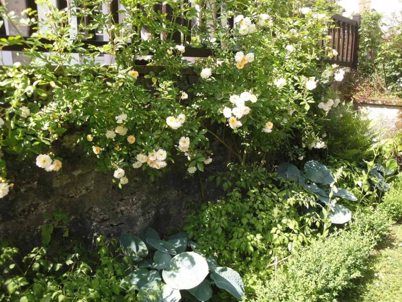 Spring in Maison Vérosia