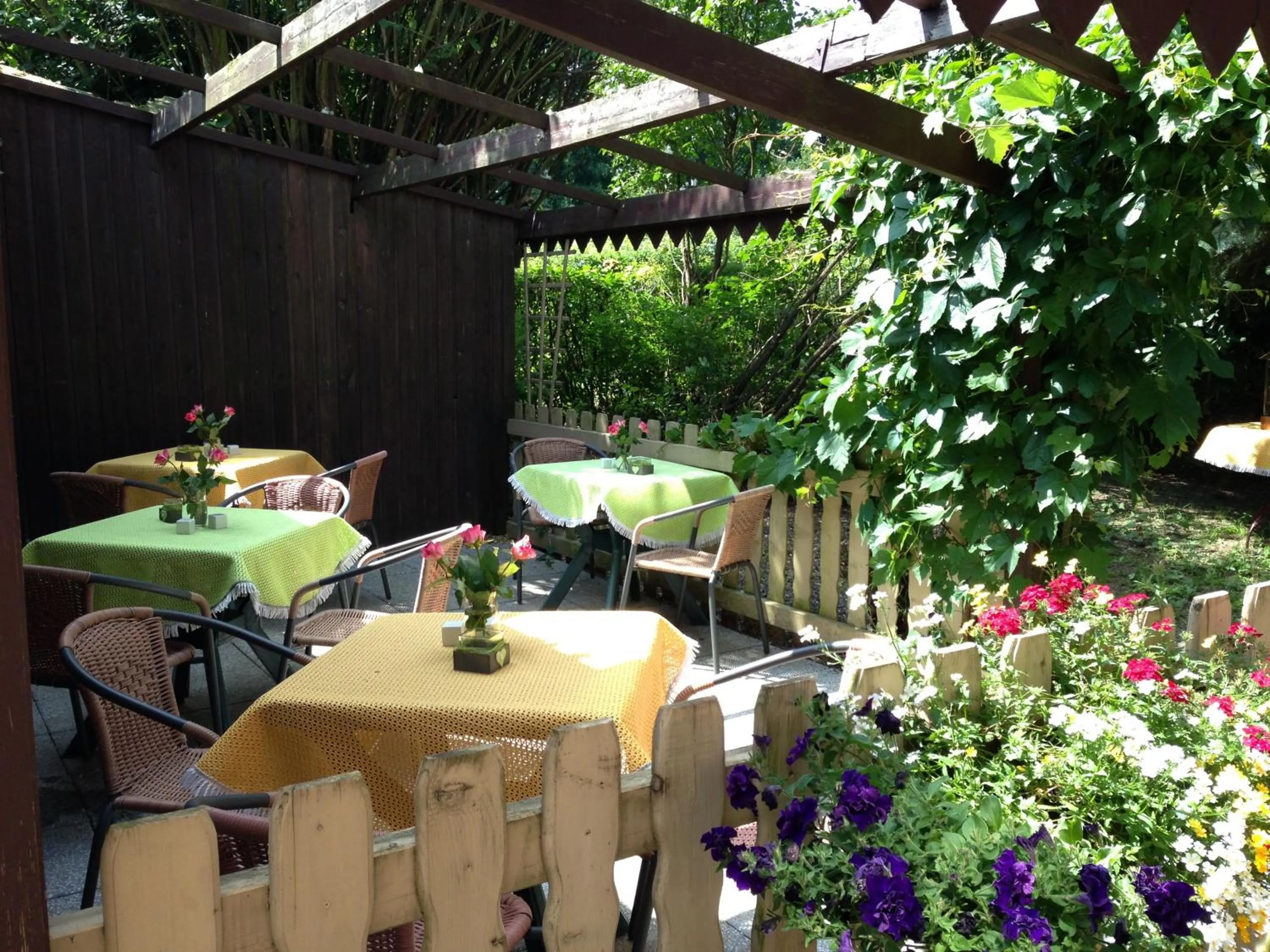 Garden in Pension Immergrün