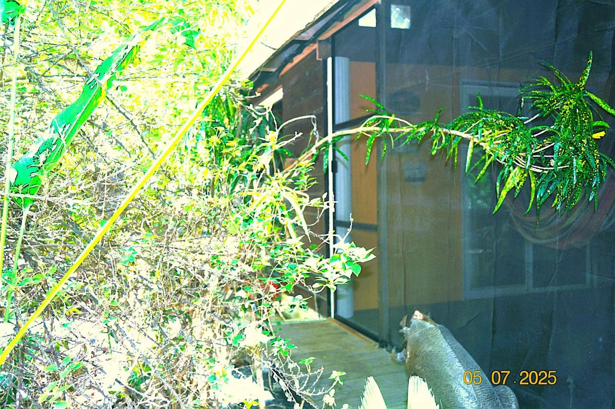 Jungle Like Oasis in San Ignacio - Secluded Cabaa Retreat Close To Mayan Ruins