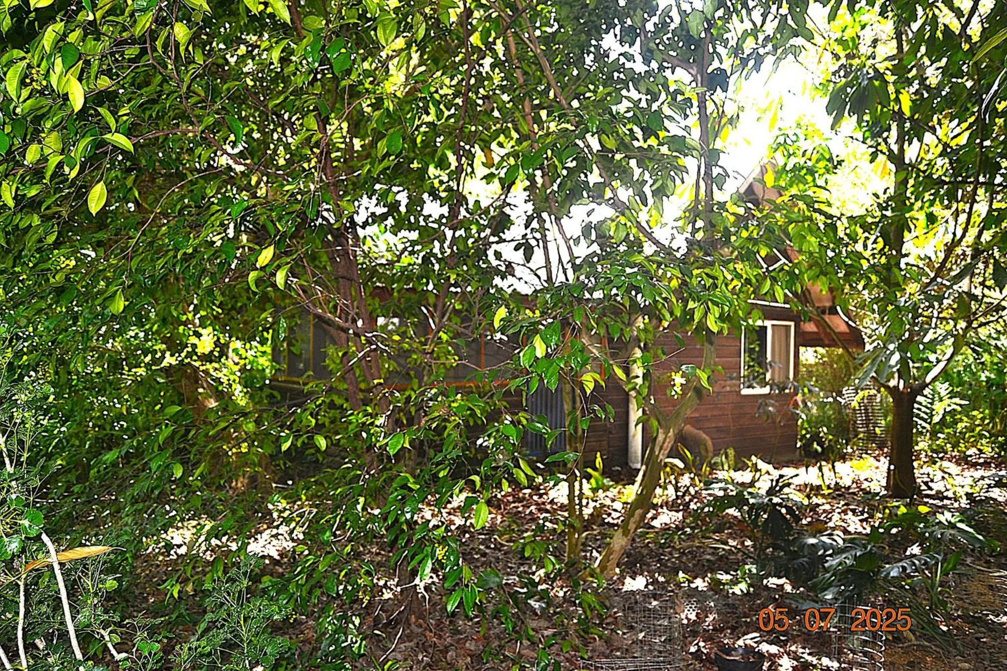 Other in Jungle Like Oasis in San Ignacio - Secluded Cabaa Retreat Close To Mayan Ruins