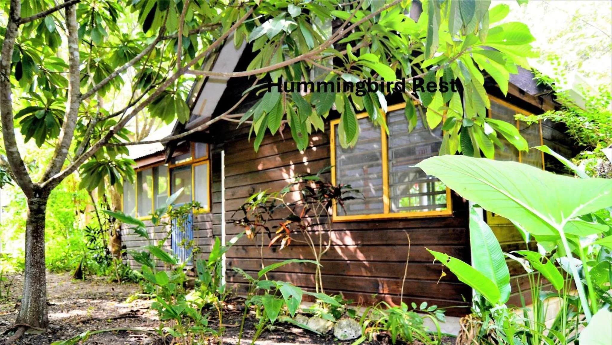Jungle Like Oasis in San Ignacio - Secluded Cabaa Retreat Close To Mayan Ruins
