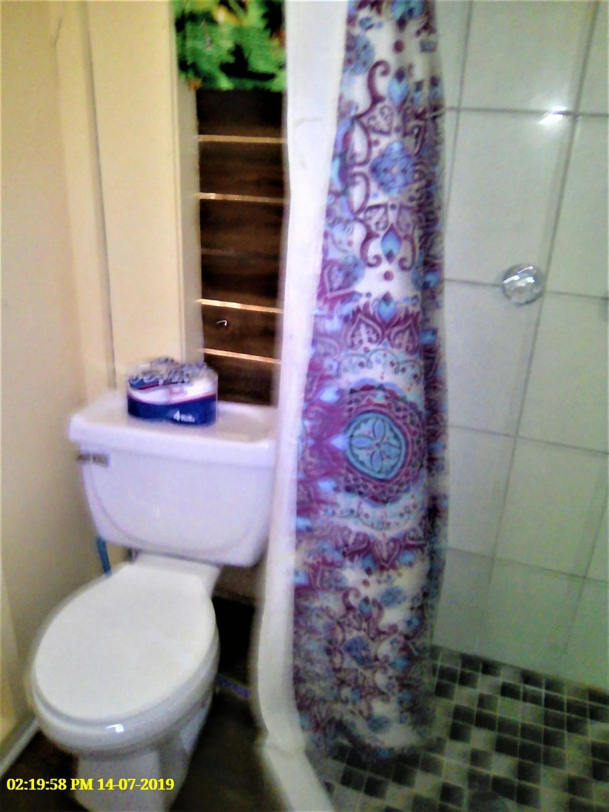 Toilet in Jungle Like Oasis in San Ignacio - Secluded Cabaa Retreat Close To Mayan Ruins