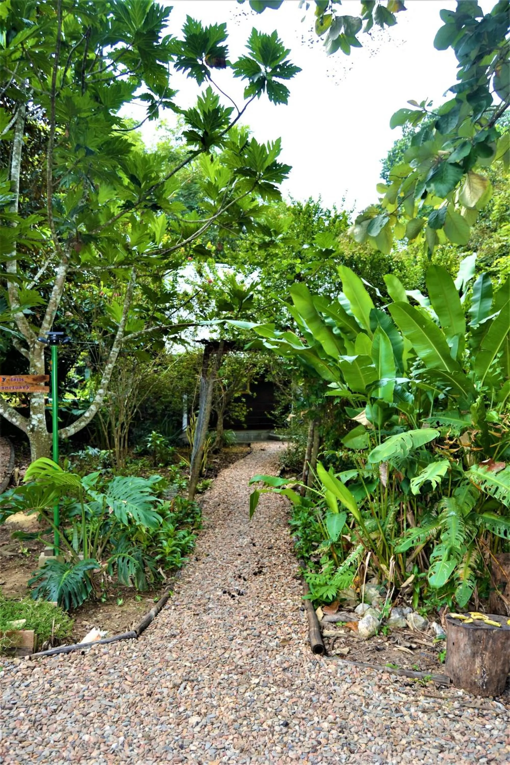 Garden in Jungle Like Oasis in San Ignacio - Secluded Cabaa Retreat Close To Mayan Ruins
