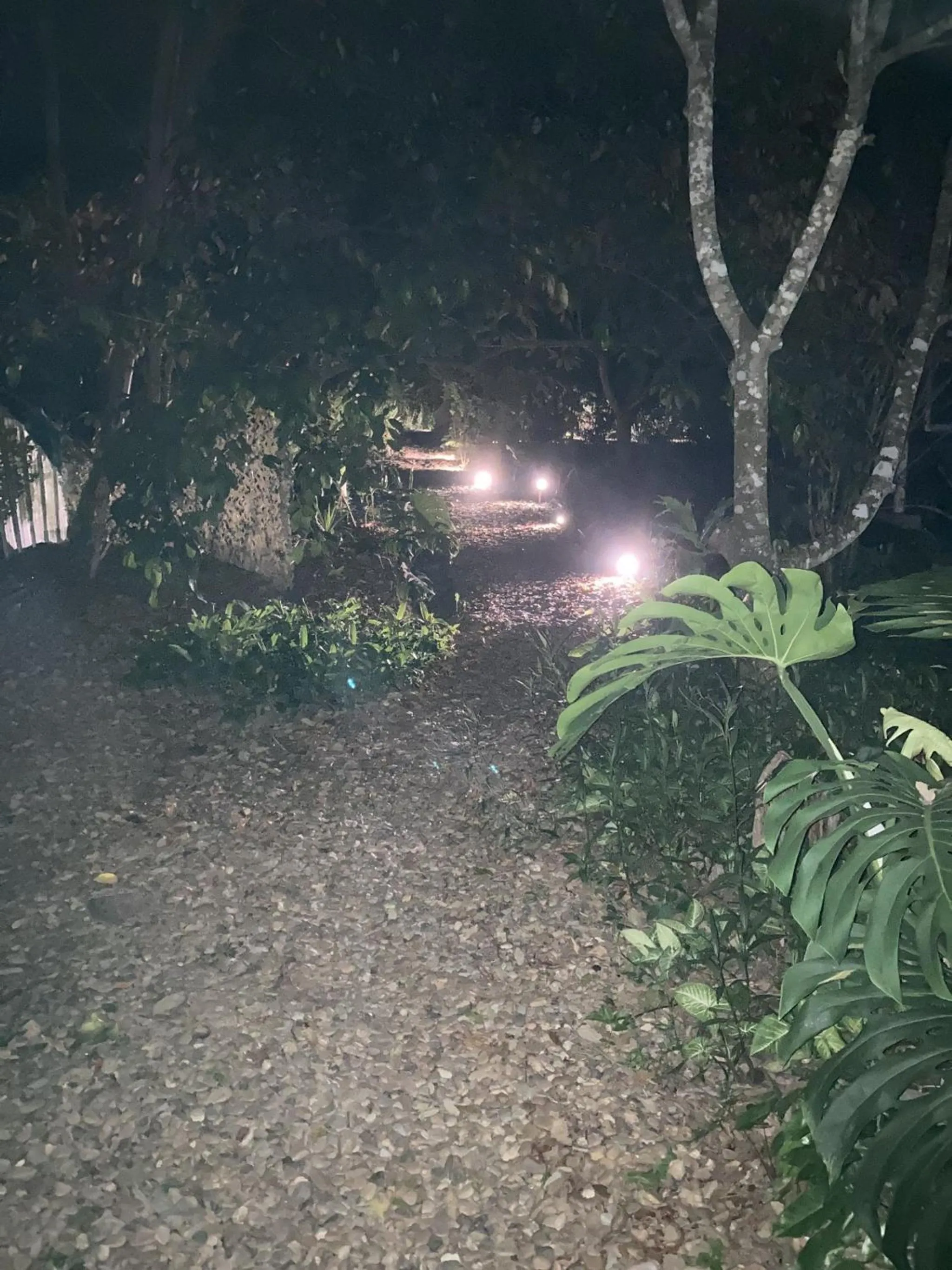 Night in Jungle Like Oasis in San Ignacio - Secluded Cabaa Retreat Close To Mayan Ruins