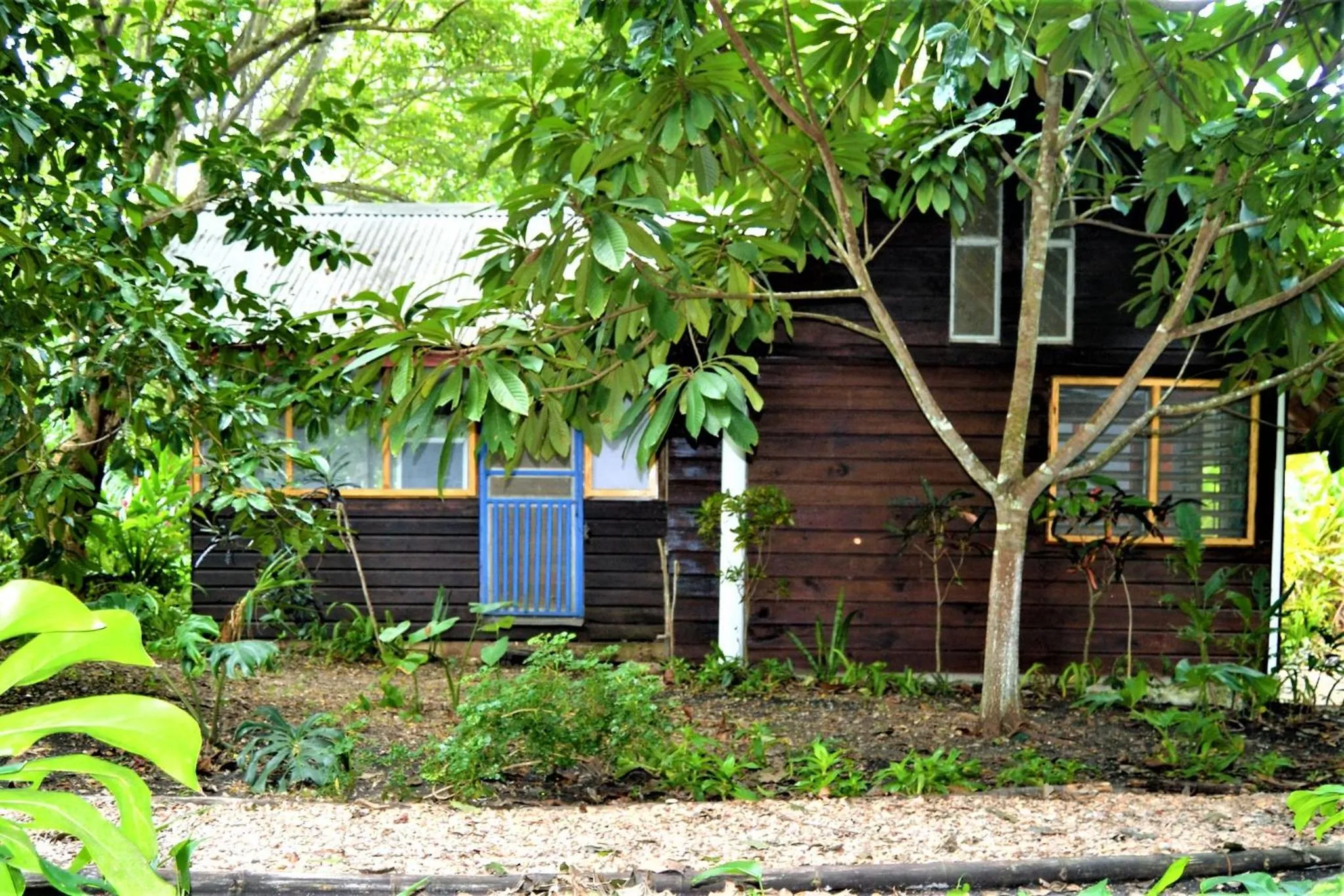 Garden in Jungle Like Oasis in San Ignacio - Secluded Cabaa Retreat Close To Mayan Ruins