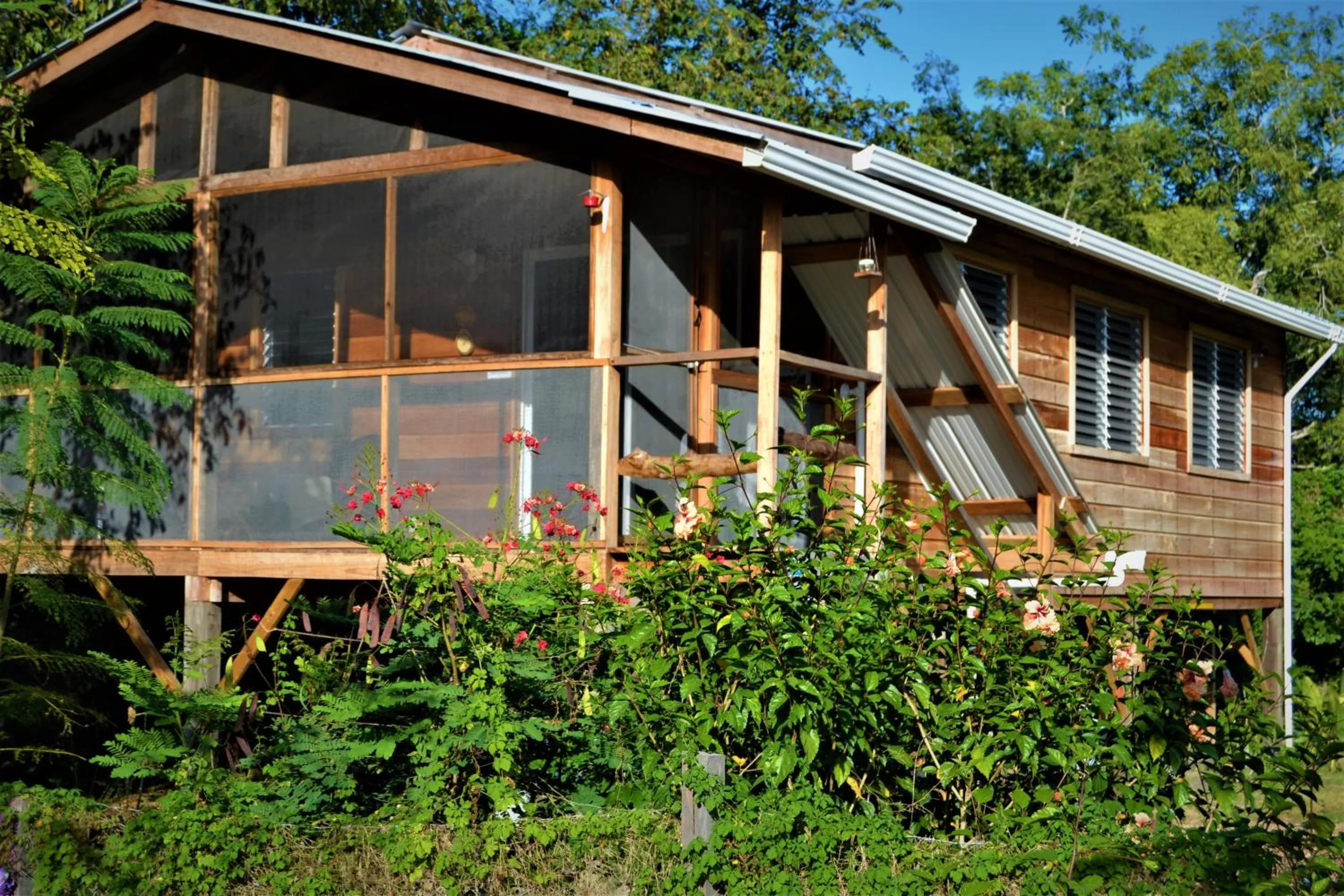 2BR Treetop Cottage Tropical Adventure, Maya Ruins San Ignacio Center Nearby