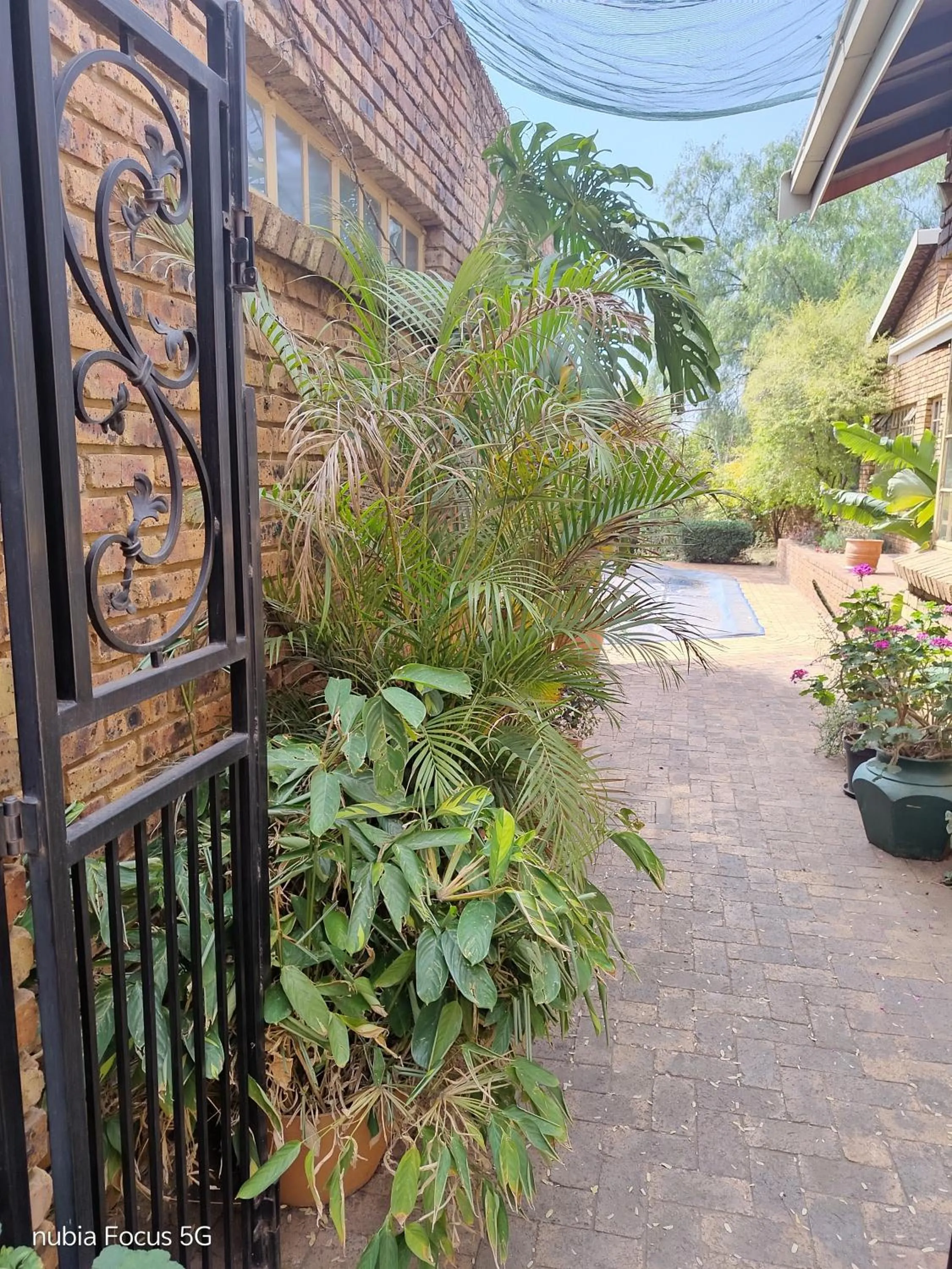 Feather Tree Bed and Breakfast