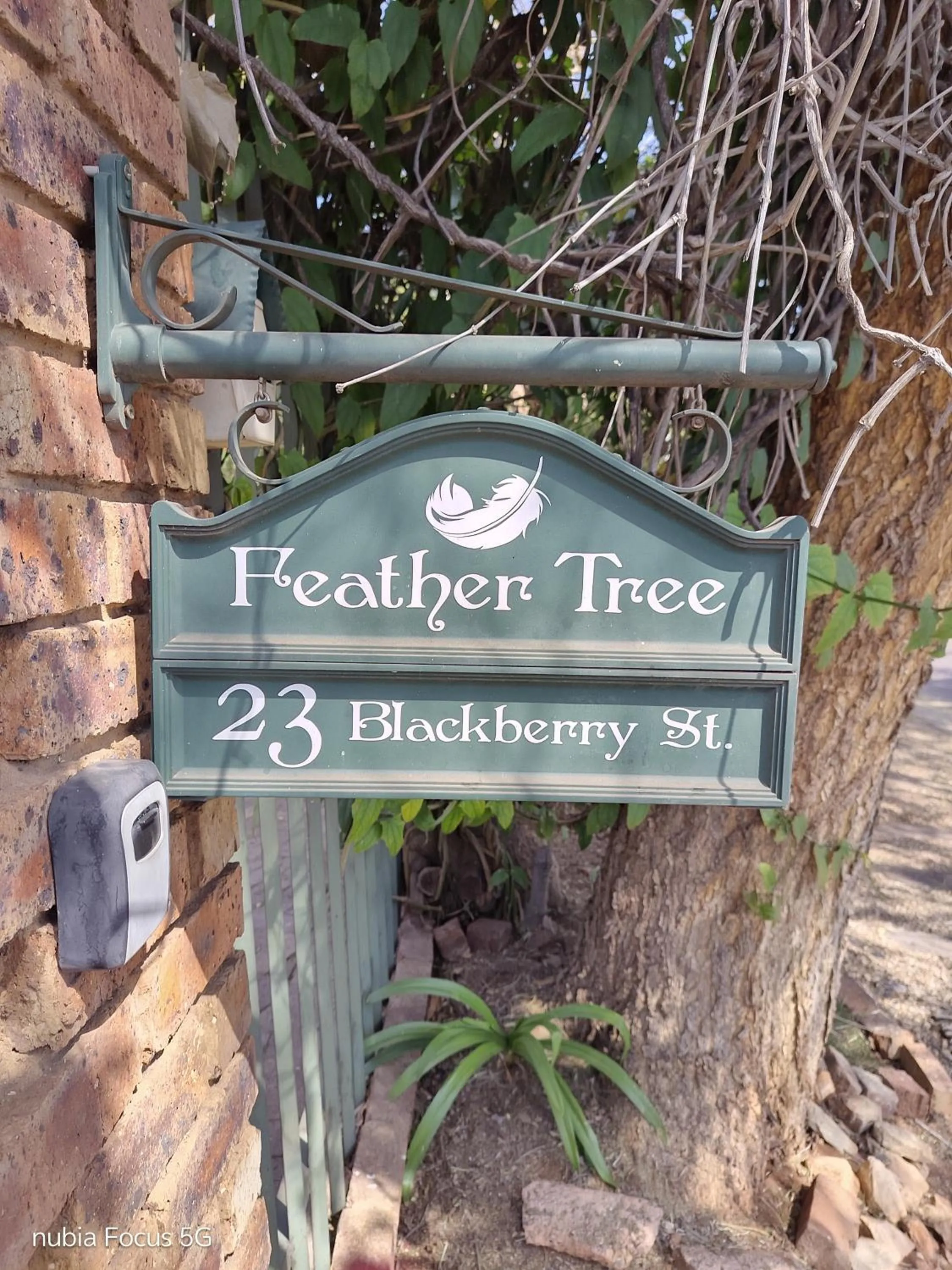 Feather Tree Bed and Breakfast