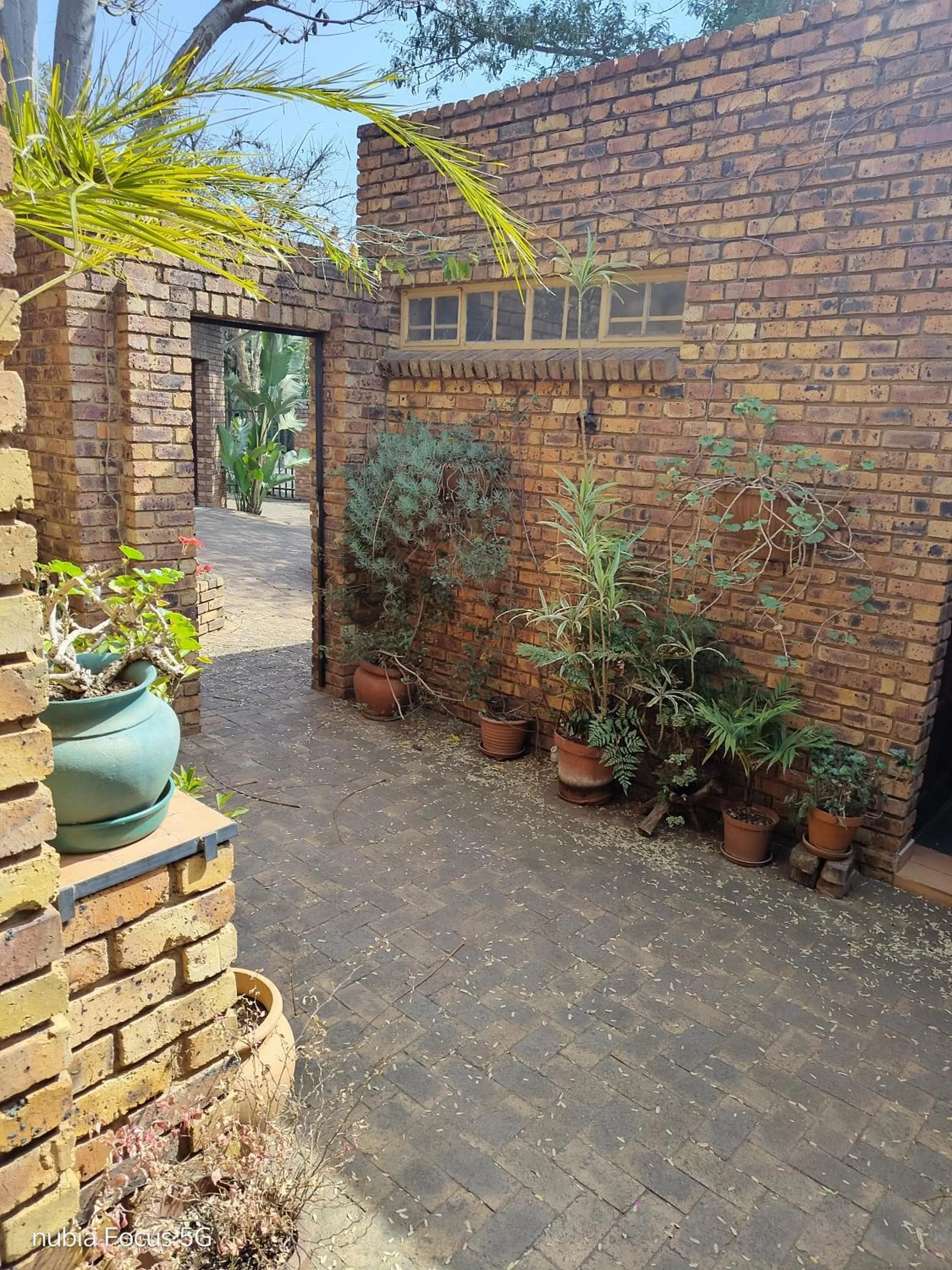 Feather Tree Bed and Breakfast