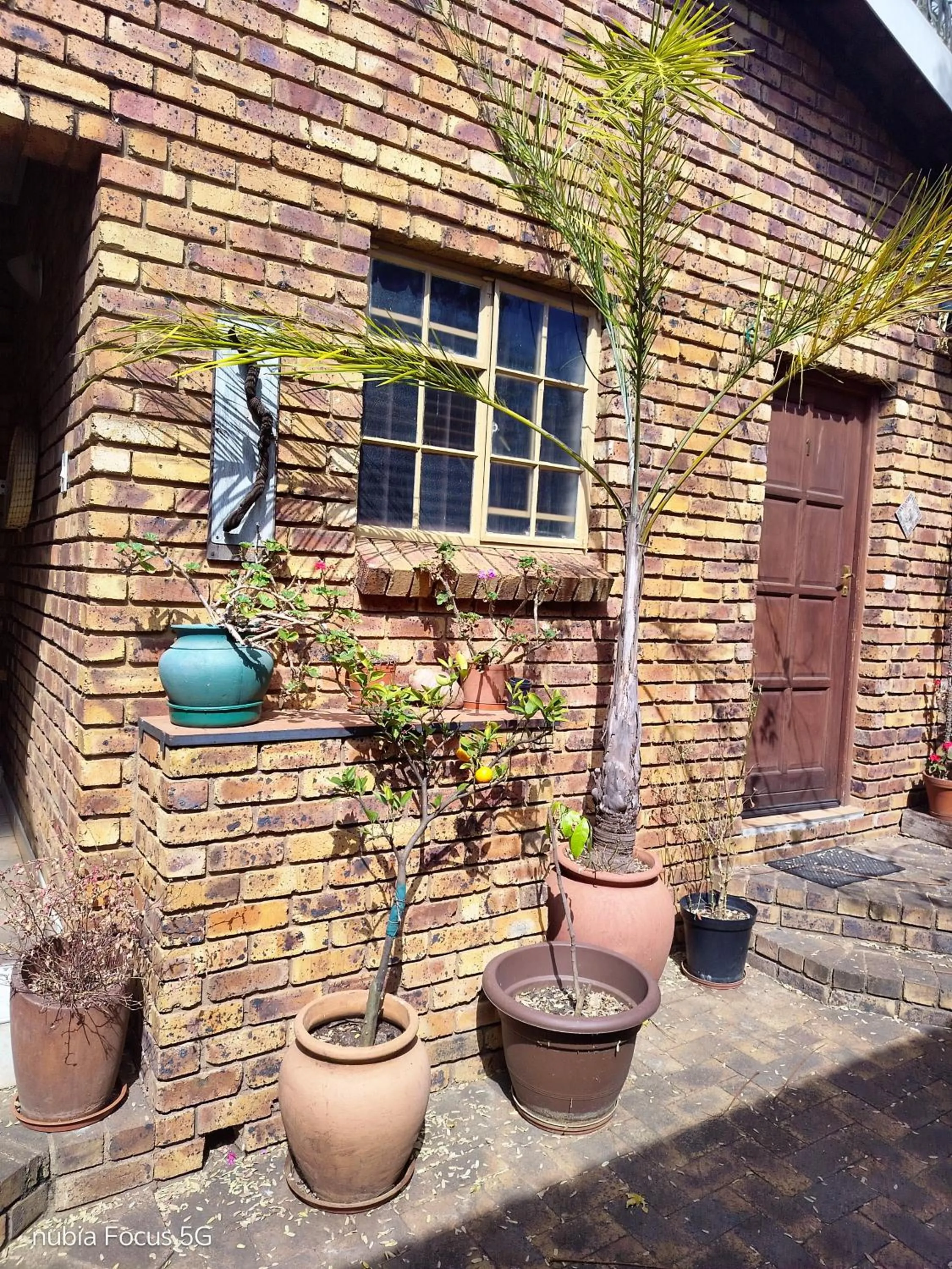 Feather Tree Bed and Breakfast