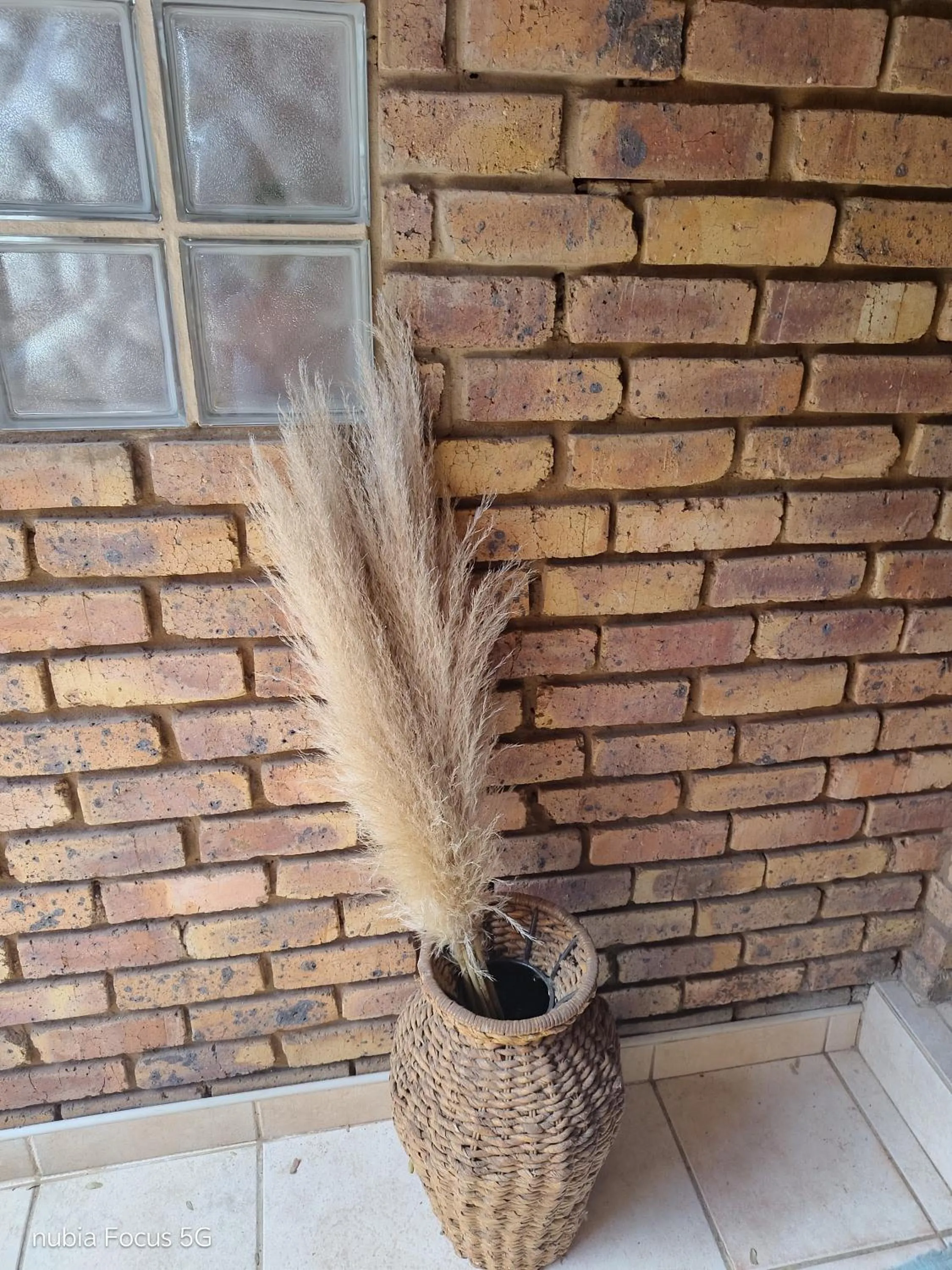 Feather Tree Bed and Breakfast