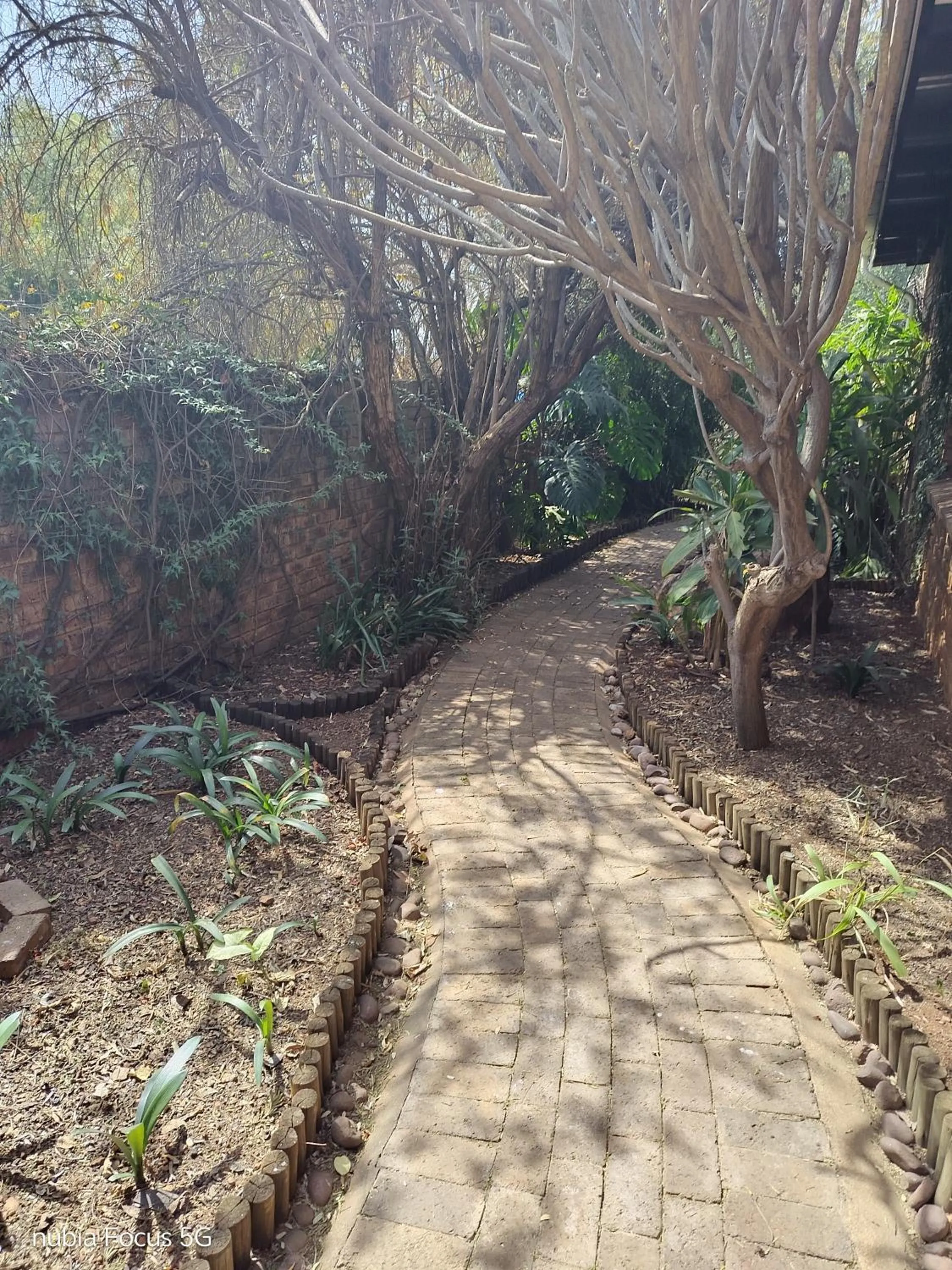 Feather Tree Bed and Breakfast