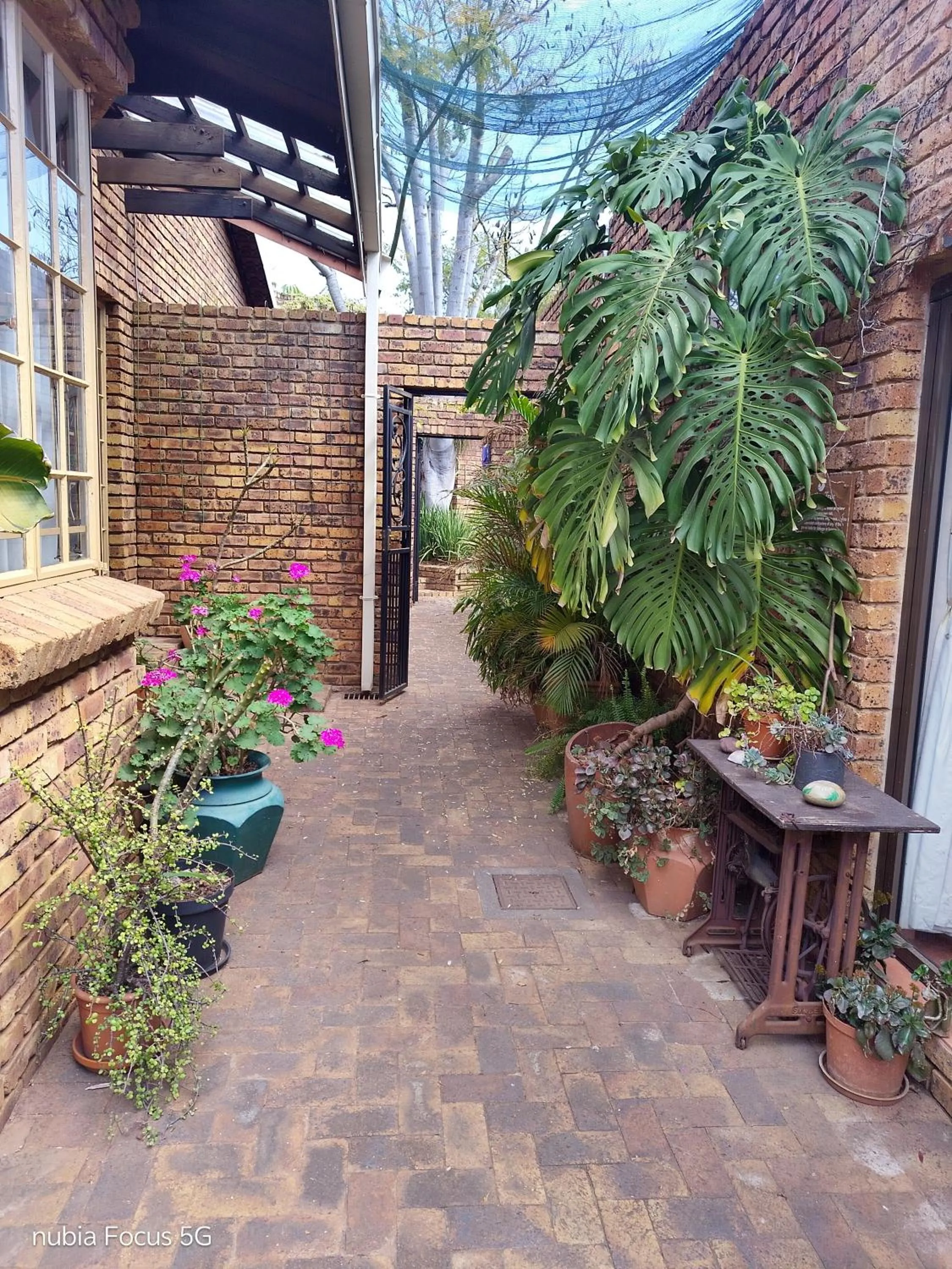 Feather Tree Bed and Breakfast