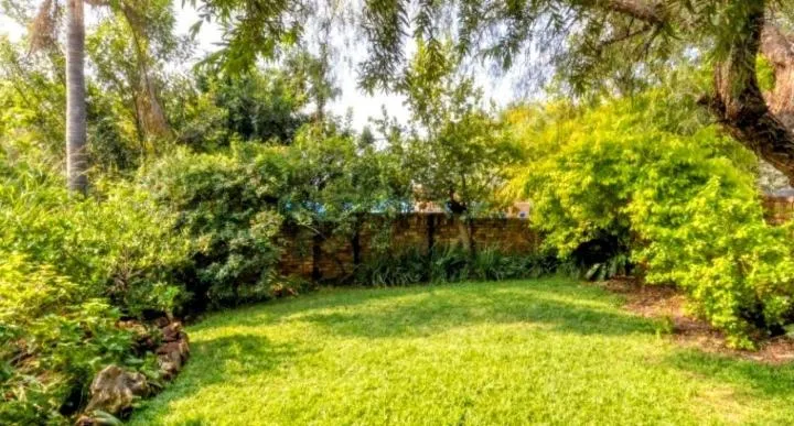 Feather Tree Bed and Breakfast