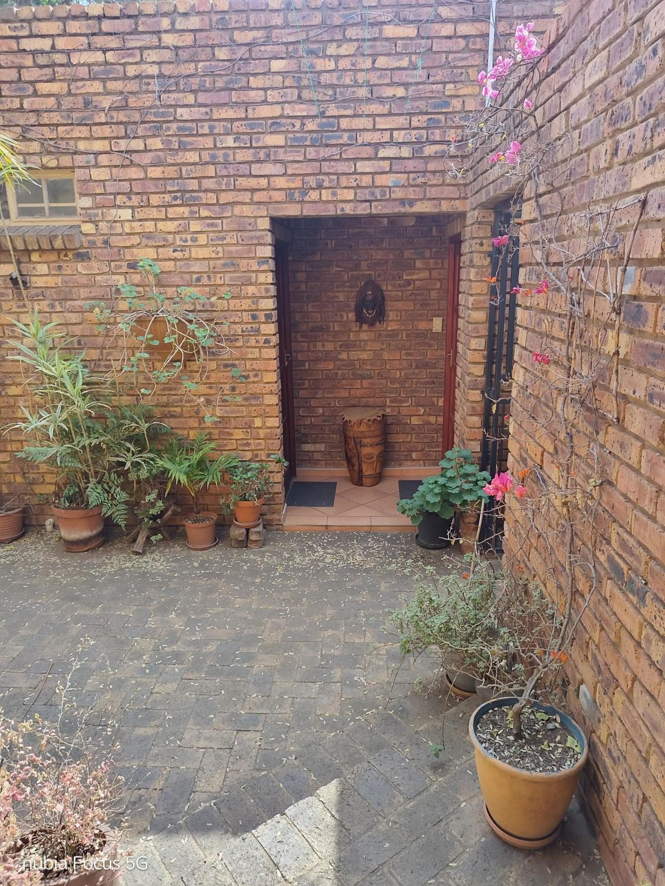 Feather Tree Bed and Breakfast
